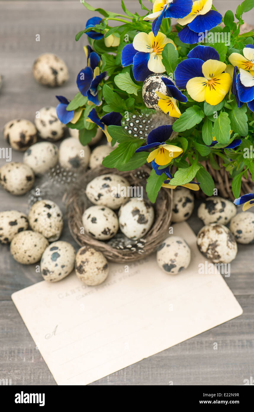 Fleur, oeufs de caille et carte de vœux. Décoration de Pâques Banque D'Images