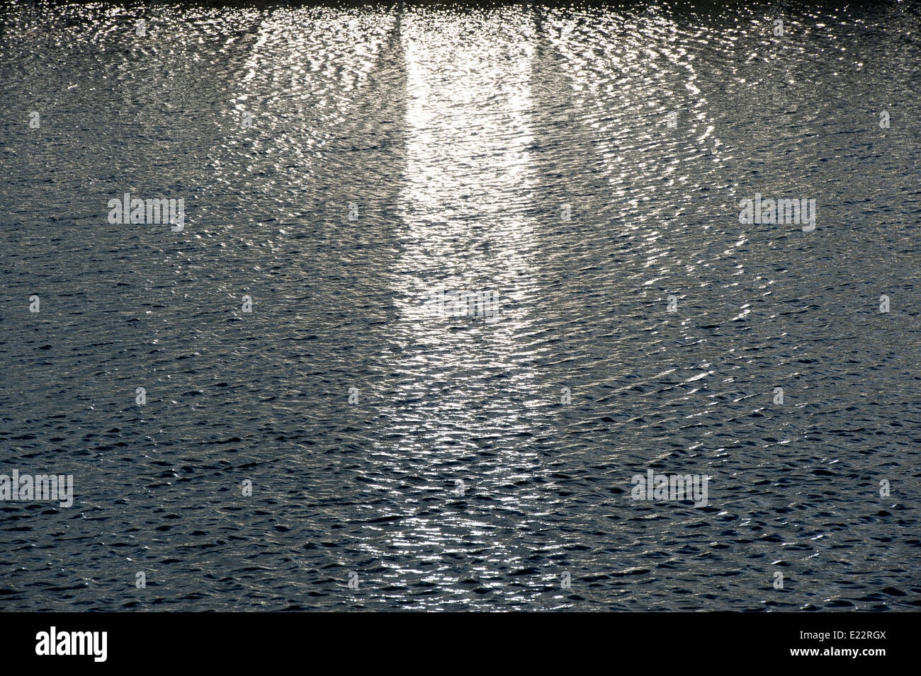 Reflet de soleil sur le lac en serre à RHS Wisley Gardens. Surrey, Angleterre Banque D'Images