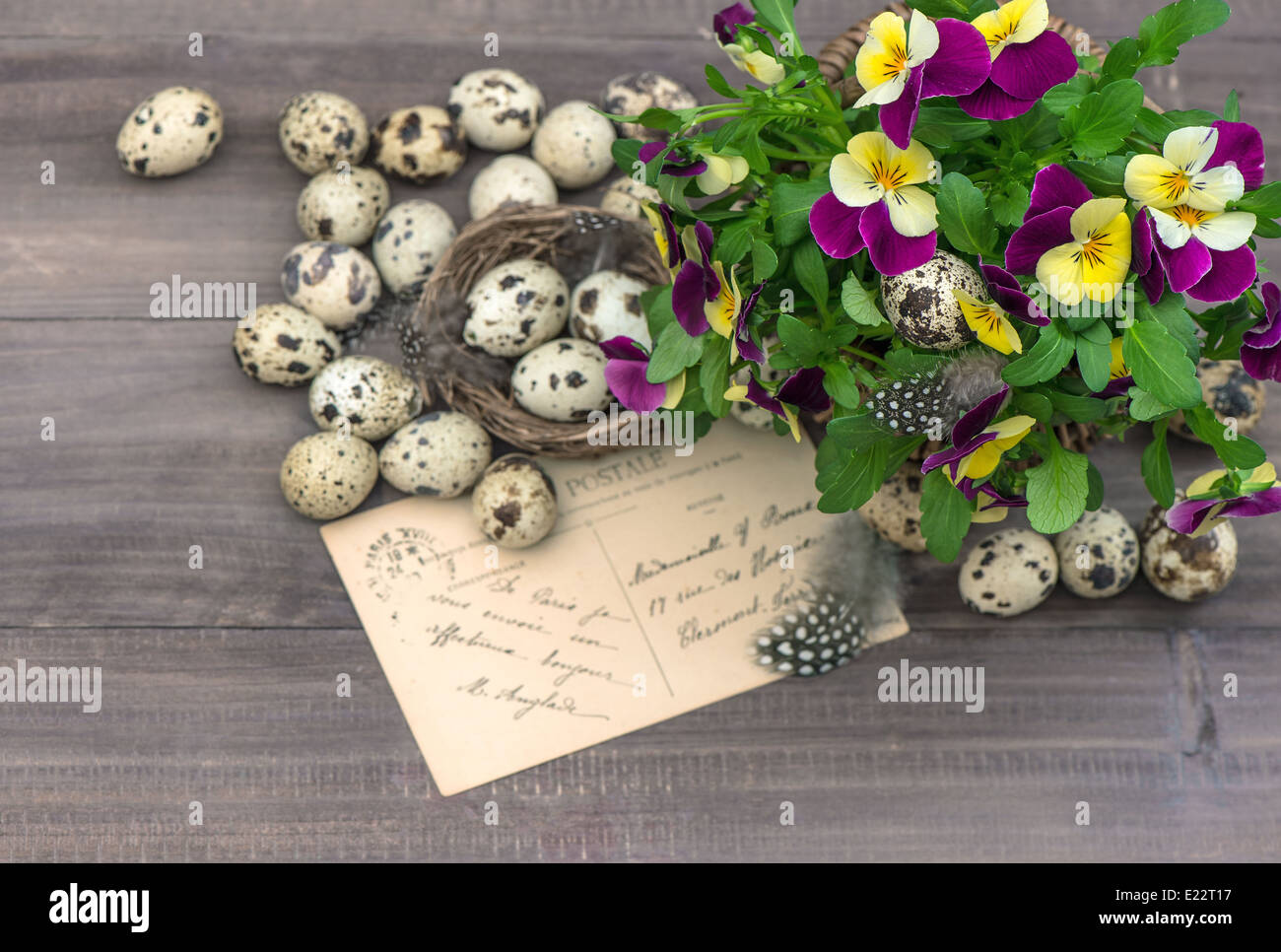 Fleur, oeufs de caille et carte de vœux. Décoration de Pâques Banque D'Images