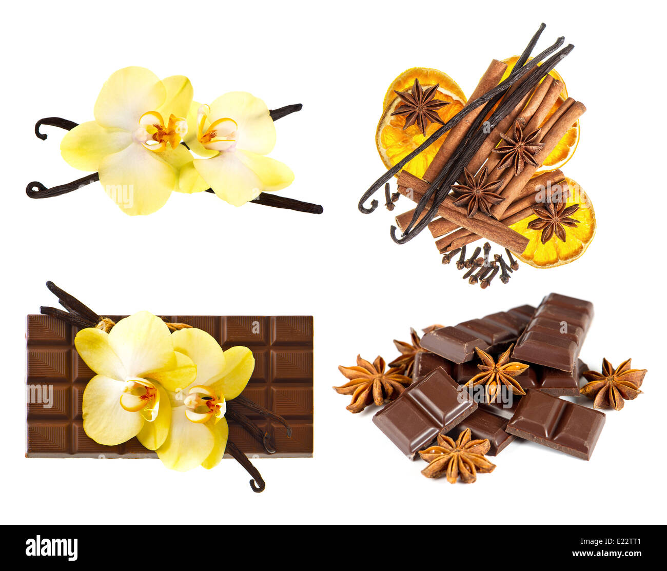 Les gousses de vanille et d'orchidée, fleur. chocolat et épices isolé sur fond blanc Banque D'Images
