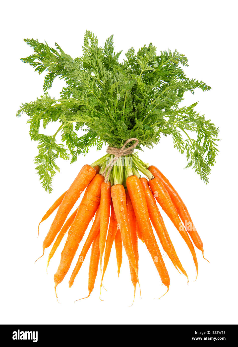 Botte de carottes fraîches avec les fanes vertes isolé sur fond blanc. Légume. Les ingrédients alimentaires Banque D'Images