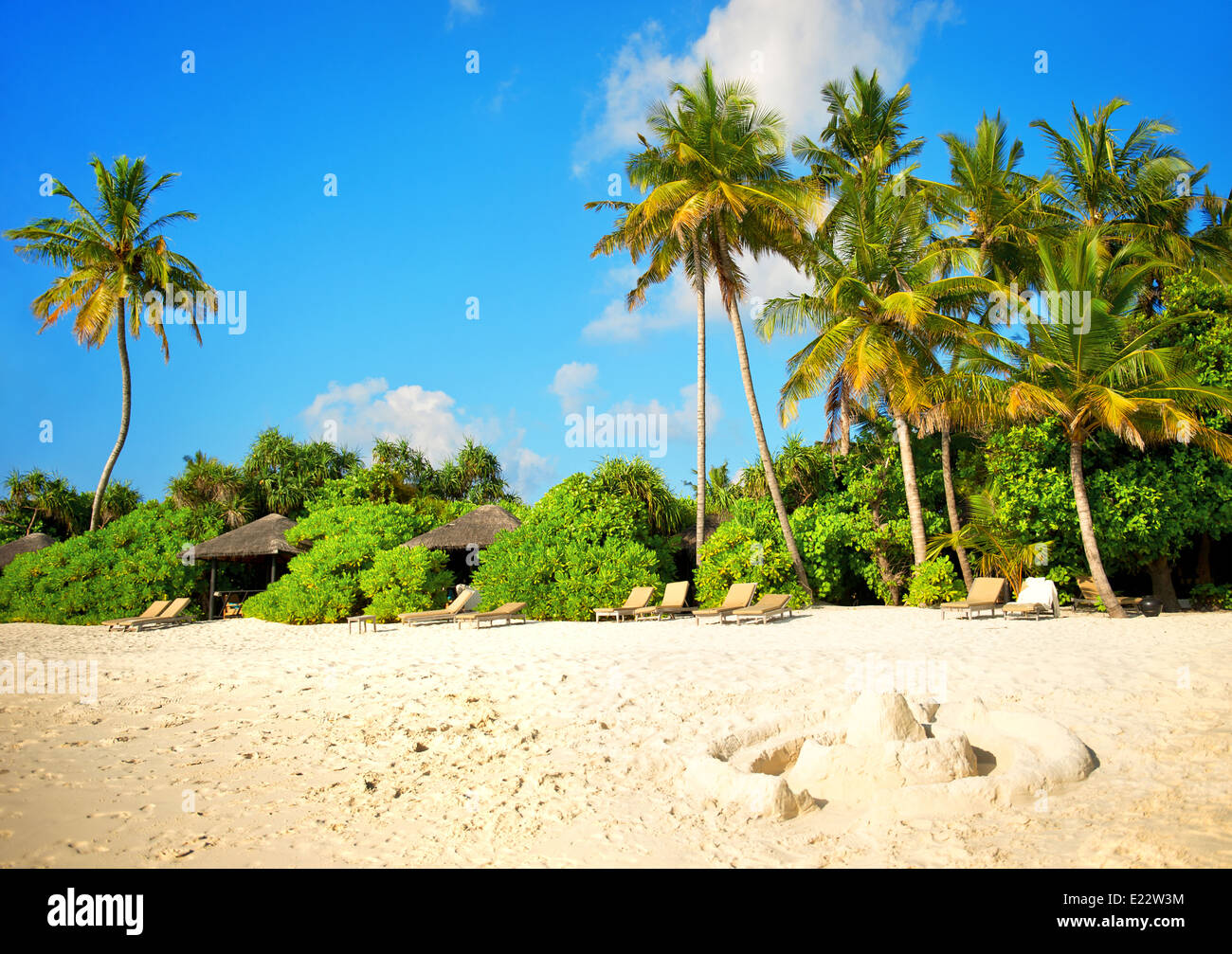 Plage de sable avec des palmiers et ciel bleu parfait Banque D'Images