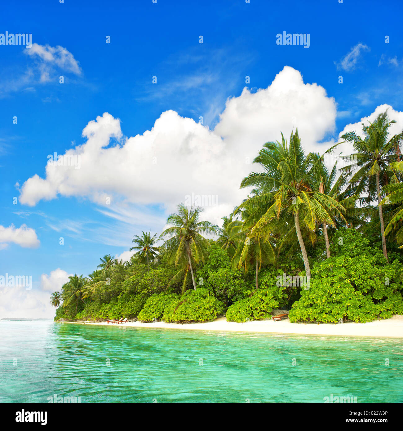 Plage de l'île tropicale. Paysage avec palmiers vert et bleu ciel nuageux Banque D'Images