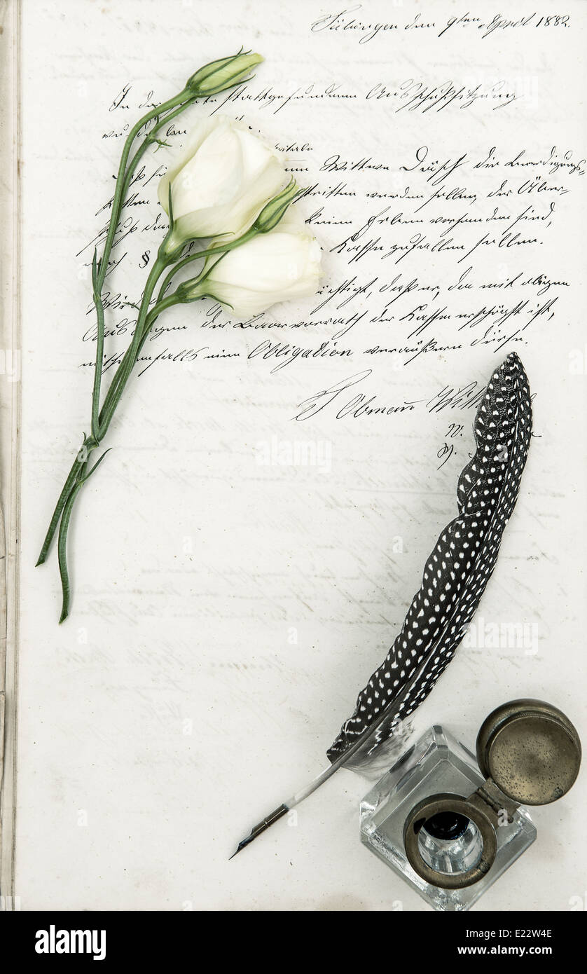 Vieille lettre, fleur et un stylo plume vintage romantique. Banque D'Images