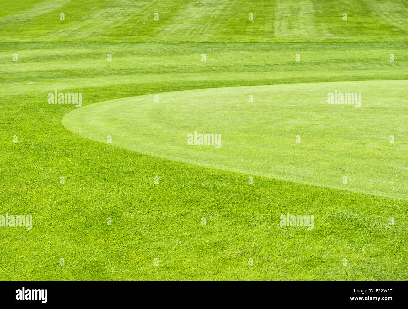 Golf. natural Green grass field background Banque D'Images