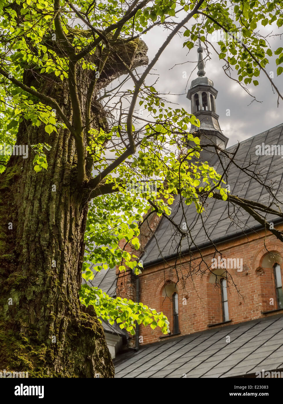 Dans l'église St James historique Sandomierz, Pologne, une partie de la célèbre pèlerin à St James Banque D'Images