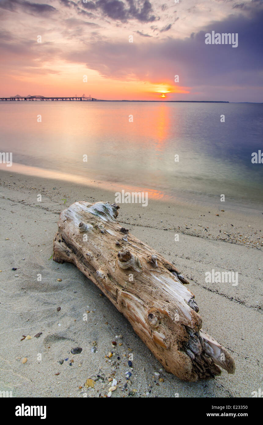 Coucher de soleil sur la baie de Chesapeake de Terrapin Beach Park sur la côte est du Maryland, avec le Bay Bridge dans le fond. Banque D'Images