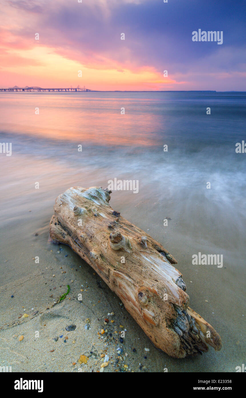 Coucher de soleil sur la baie de Chesapeake de Terrapin Beach Park sur la côte est du Maryland, avec le Bay Bridge dans le fond. Banque D'Images