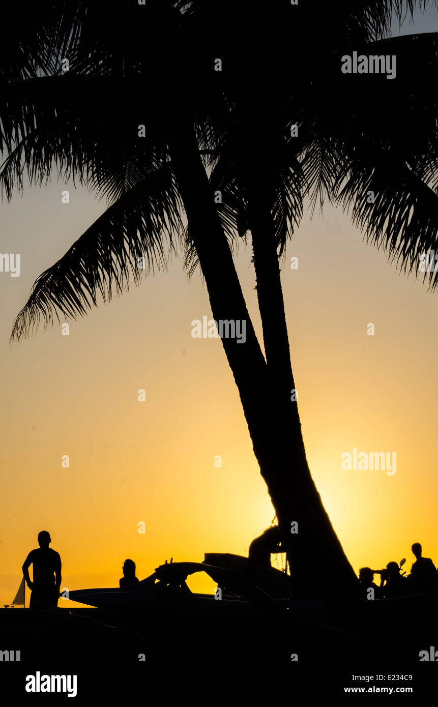 Silhouette d'un surfer la douche à côté d'un palmier sur la plage de Waikiki à Oahu, Hawaii Banque D'Images
