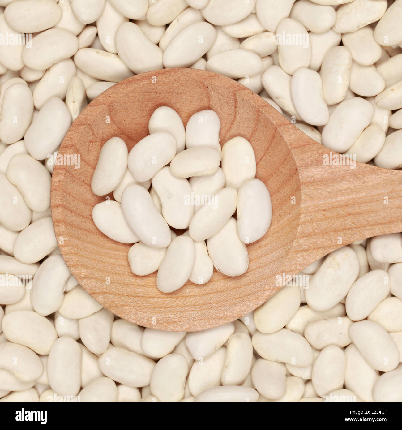 Collection de haricots blancs sur une cuillère en bois formant un arrière-plan Banque D'Images