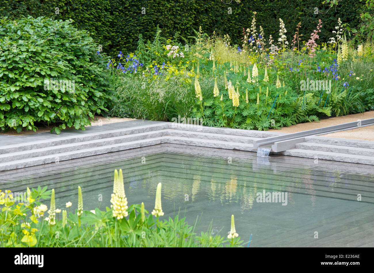 Petit Ruisseau, piscine et la plantation dans le jardin Laurent-Perrier conçues par Luciano Giubbilei à RHS Chelsea Flower Show 2014. Banque D'Images