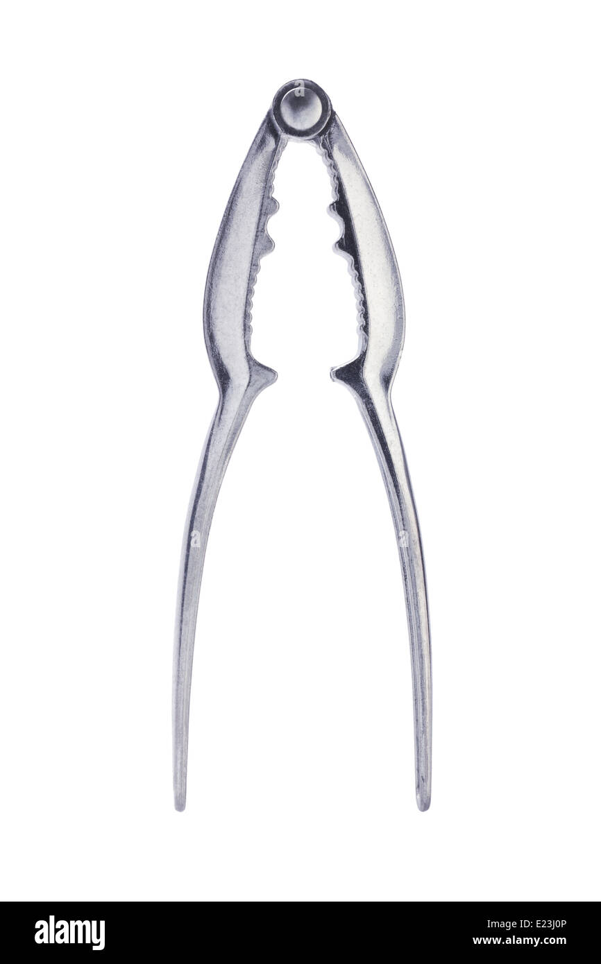 Casse-noisette sur fond blanc Banque D'Images