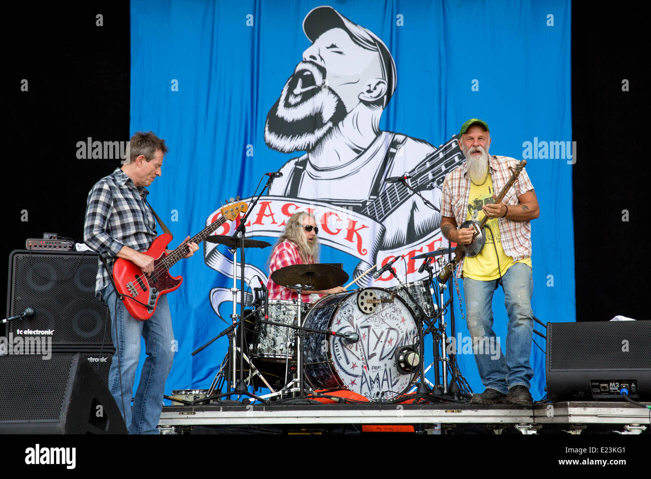 Manchester, New York, USA. 14 Juin, 2014. Seasick Steve effectue live at the 2014 Bonnaroo Music and Arts Festival à Manchester, New York Crédit : Daniel DeSlover/ZUMAPRESS.com/Alamy Live News Banque D'Images