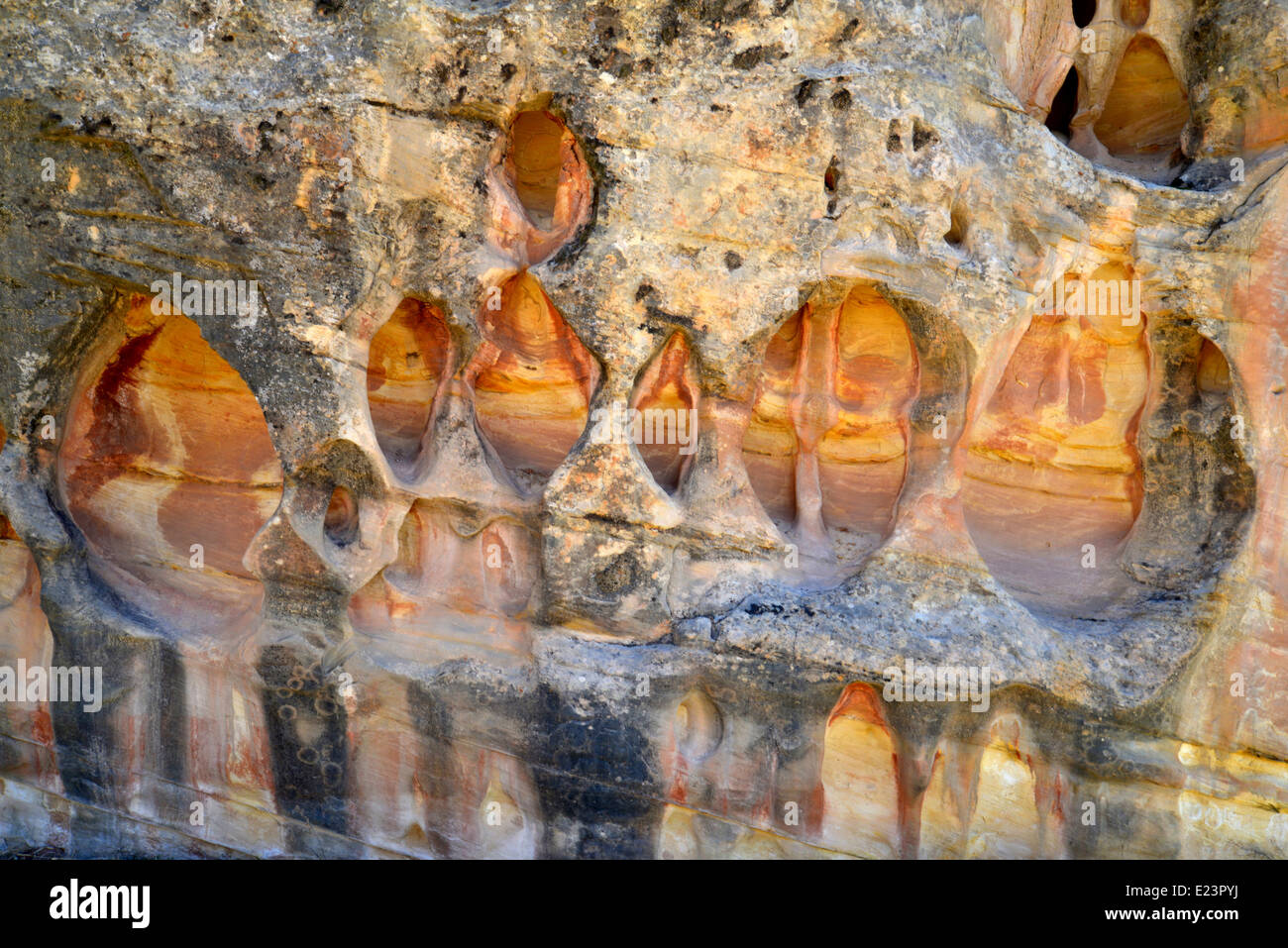 L'art de mur de grès érodé le long de la route 24 dans la région de Capitol Reef National Park, dans le centre de l'Utah Banque D'Images