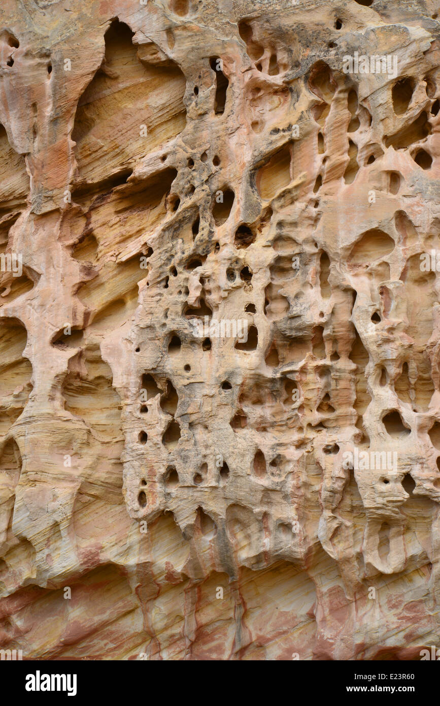 L'art de mur de grès érodé le long de la route 24 dans la région de Capitol Reef National Park, dans le centre de l'Utah Banque D'Images