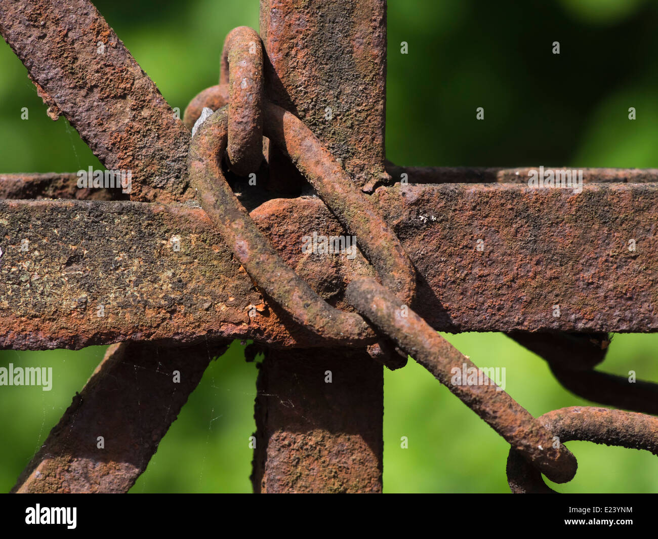 Close up of old rusty clôture et la chaîne sur un fond vert floue Banque D'Images