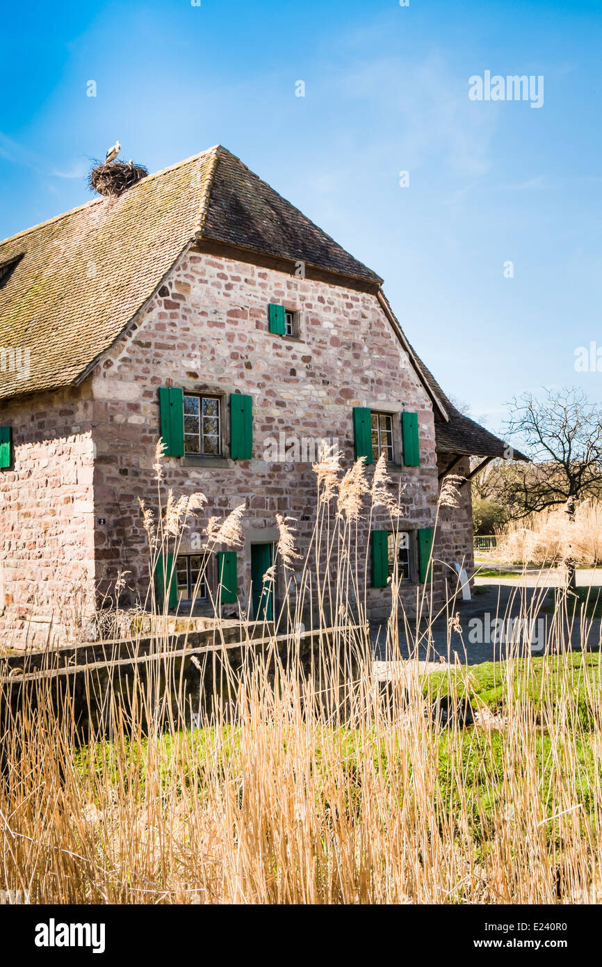 Maison ancienne en pierre avec des volets en bois vert et un nid de cigognes sur le toit, l'écomusée d'alsace, ungersheim, france Banque D'Images