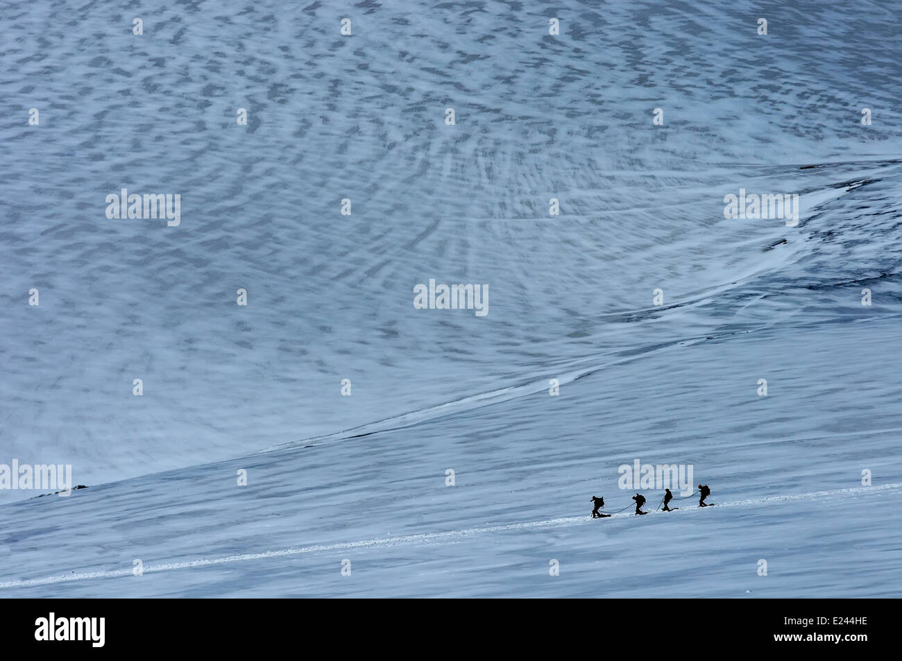 Un groupe d'alpinistes encordés pour traverser un glacier dans les Alpes Suisses Banque D'Images