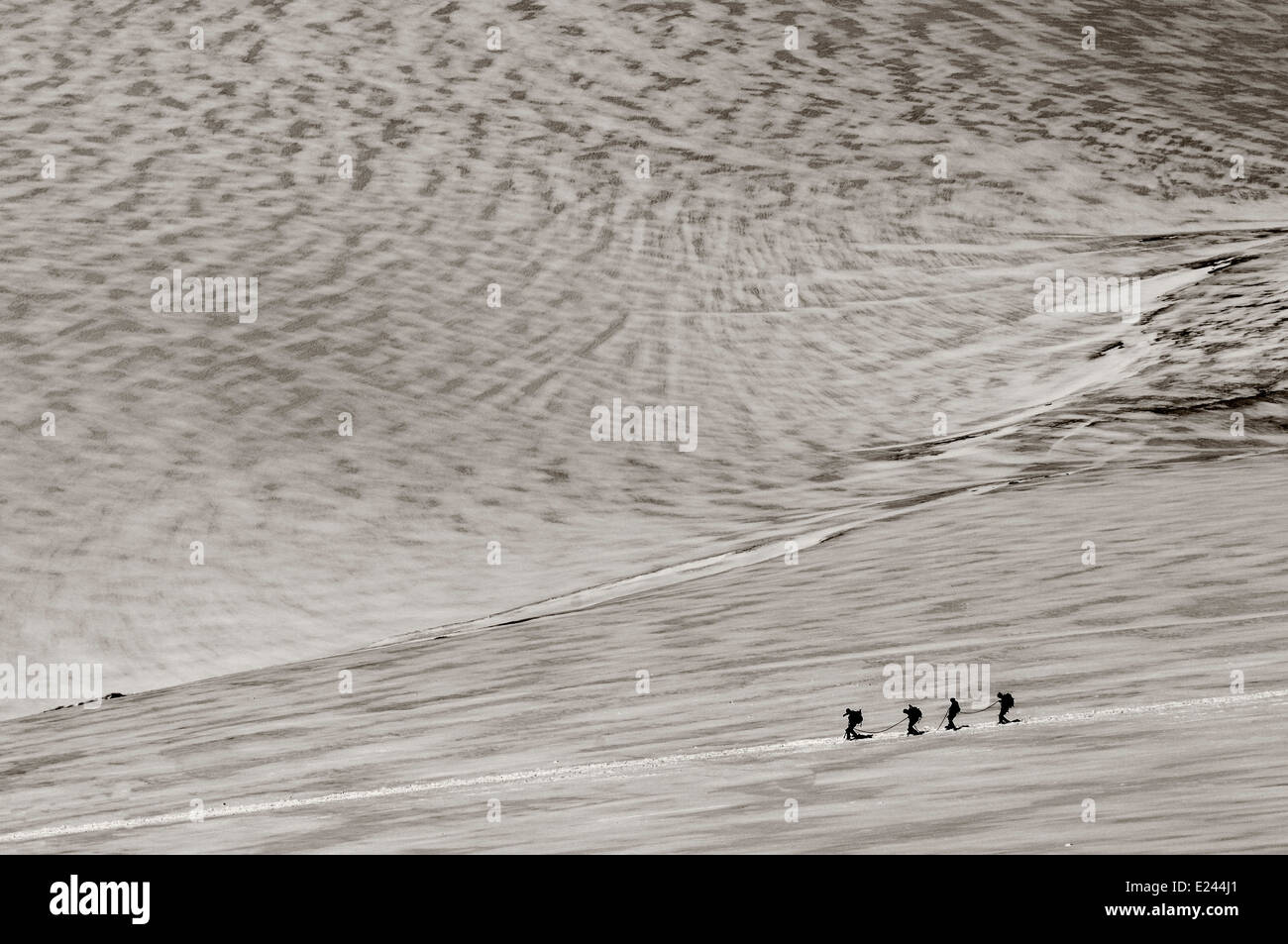 Un groupe d'alpinistes encordés pour traverser un glacier dans les Alpes Suisses Banque D'Images