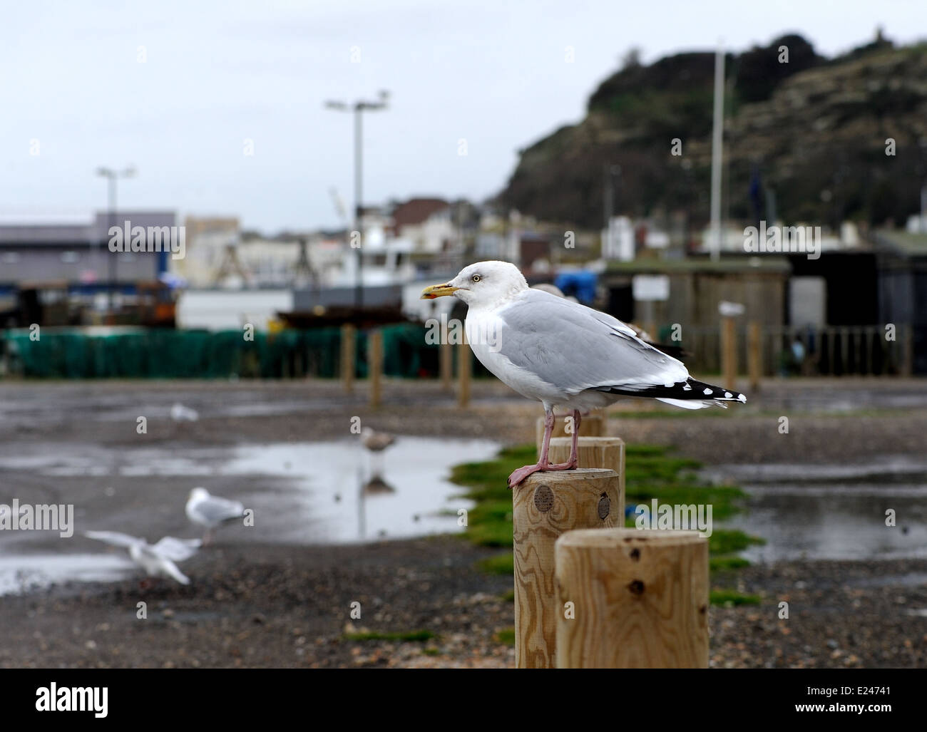 Post poste Banque de photographies et d’images à haute résolution Alamy
