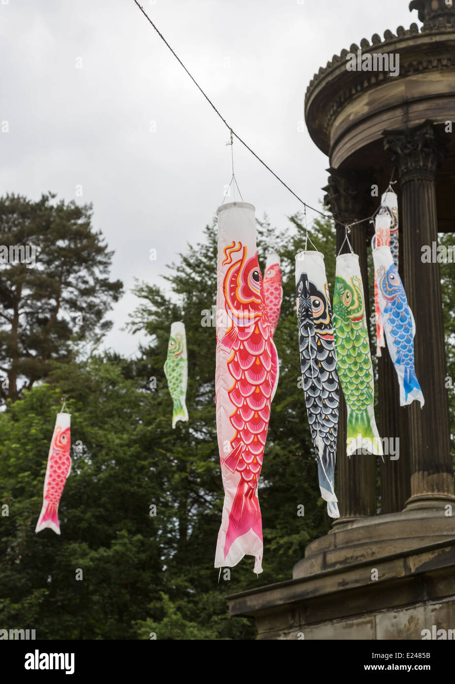 Drapeaux carpes colorées, koinobori, pour la fête des enfants au Japon, le 5 mai, dans le parc Tatton, Cheshire Banque D'Images