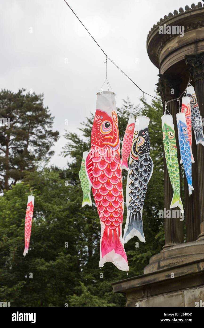 Drapeaux carpes colorées, koinobori, pour la fête des enfants au Japon, le 5 mai, dans le parc Tatton, Cheshire Banque D'Images