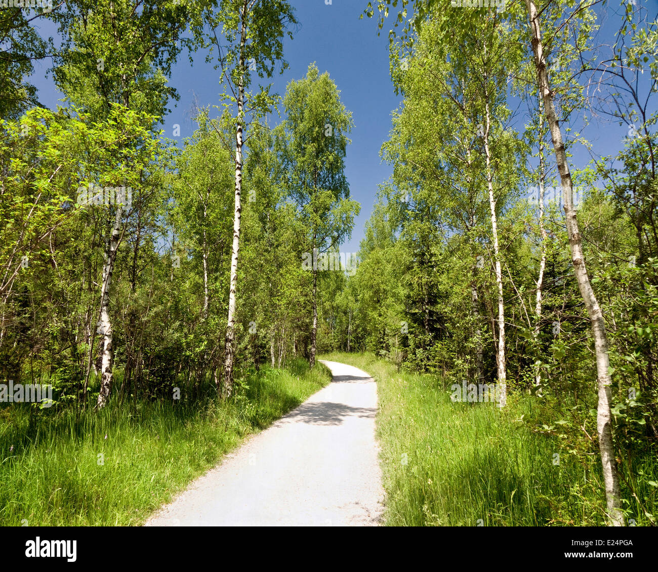 DE - La Bavière : Isar-Radweg (ISAR) Piste cyclable entre Bad Toelz et Lenggries Banque D'Images