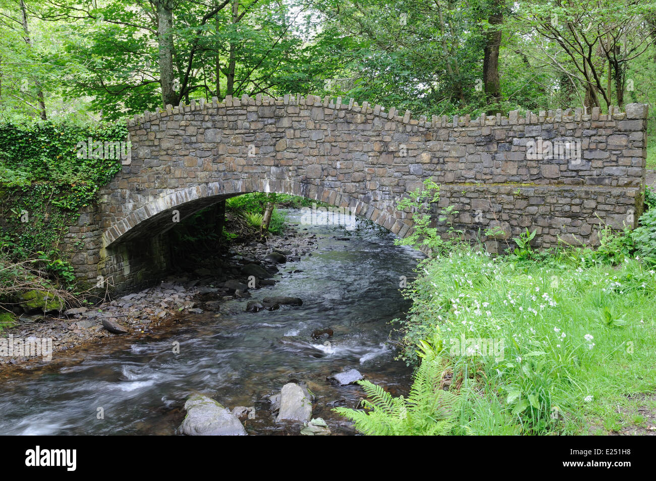 Vieux pont de pierre sur la rivière Heddon Heddon Valley Parc National d'Exmoor Devon England UK GO Banque D'Images