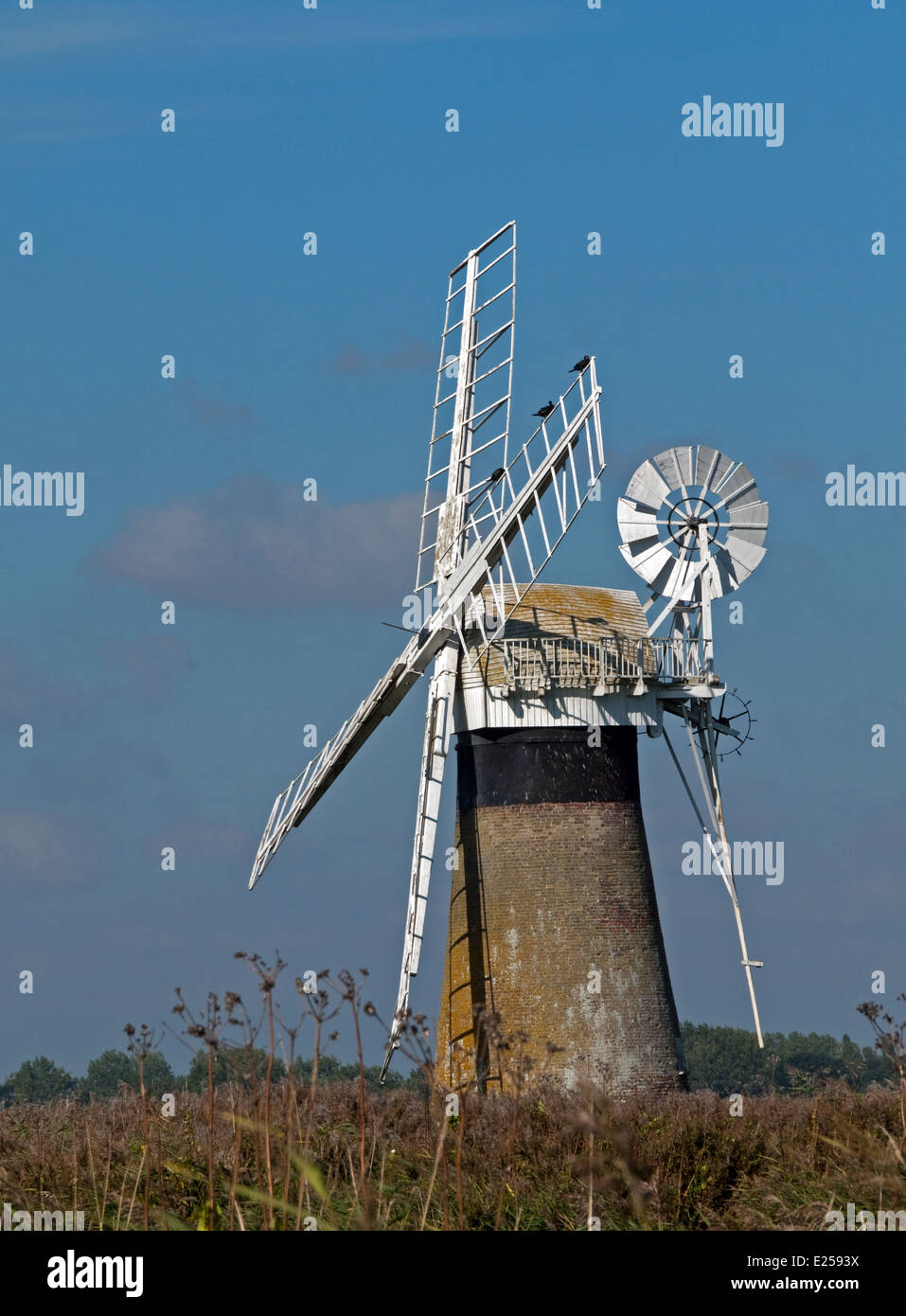 St Benet's Drainage Niveau Moulin, Thurne, Norfolk, Angleterre Banque D'Images