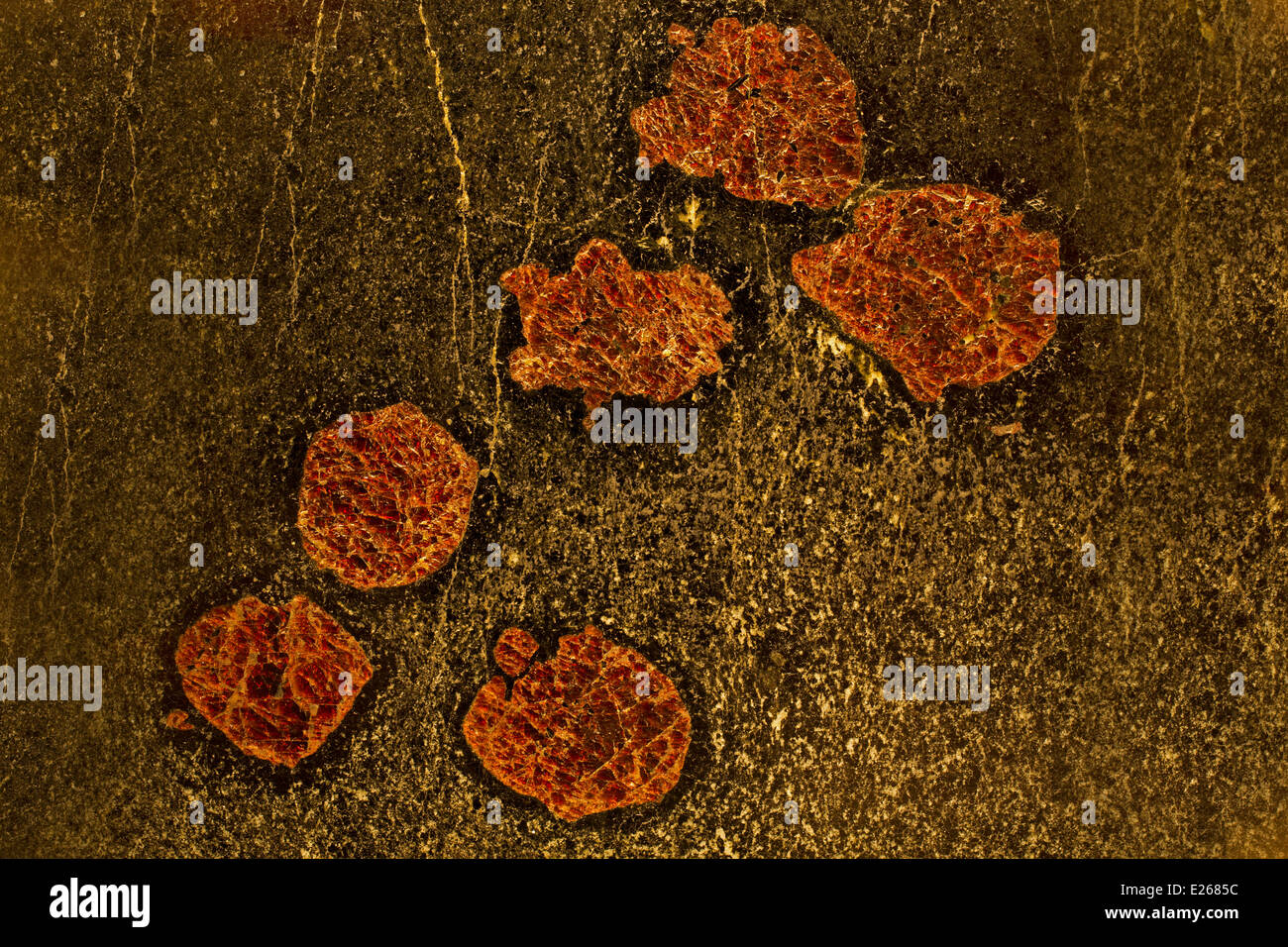 L'amphibolite grenatifère montrant le pyrope / porphyroblastes grenat almandin, Gore Mountain, New York Banque D'Images