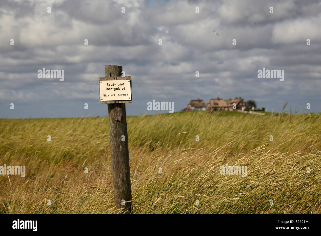 Panneau d'avertissement "Brut- und Rastgebiet' indiquant les aires de reproduction sur la Hallig Hooge dans la mer des wadden worldheritage Banque D'Images