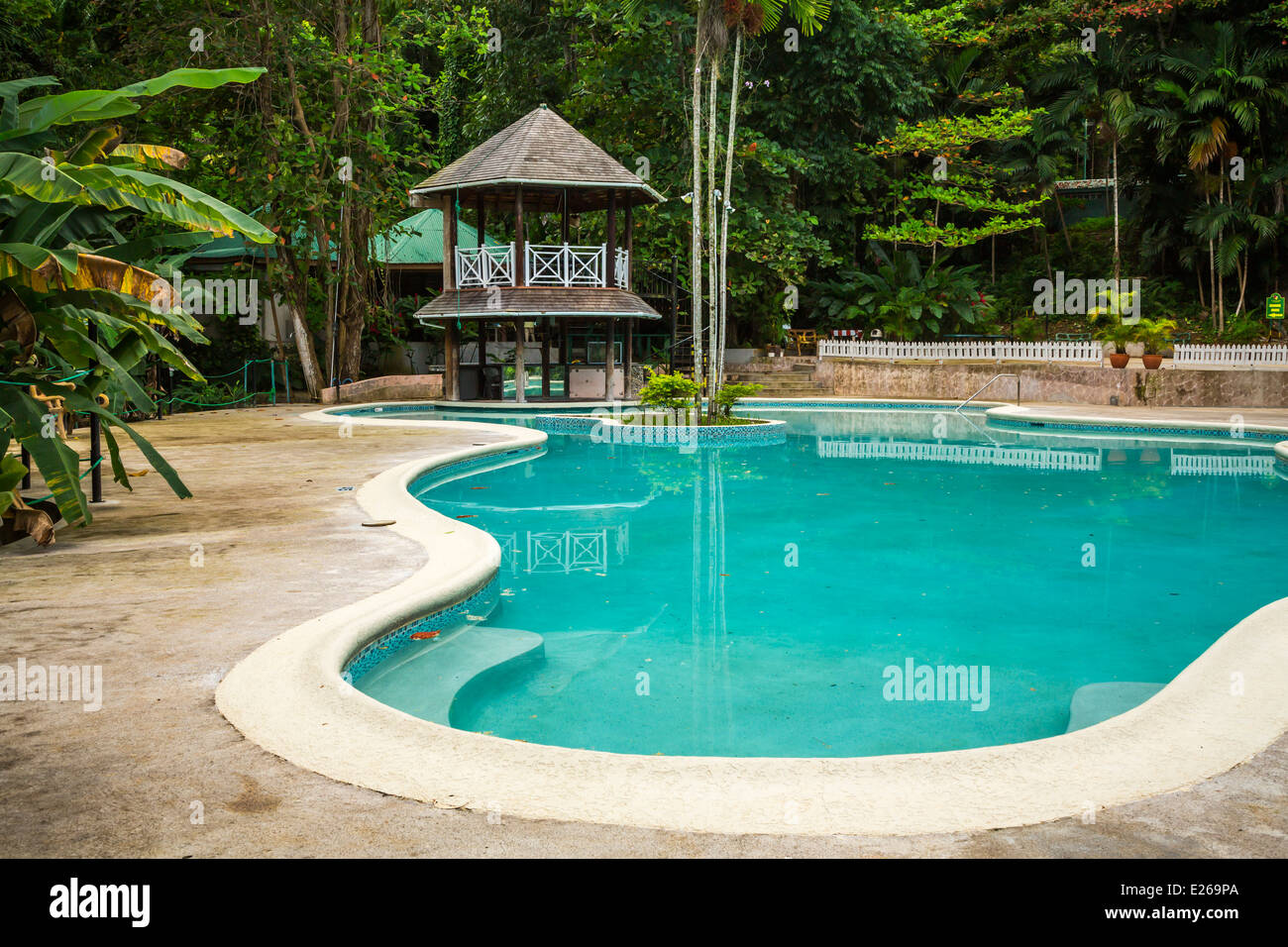 La piscine à la Turtle River Falls près de Ocho Rios, Jamaïque. Banque D'Images