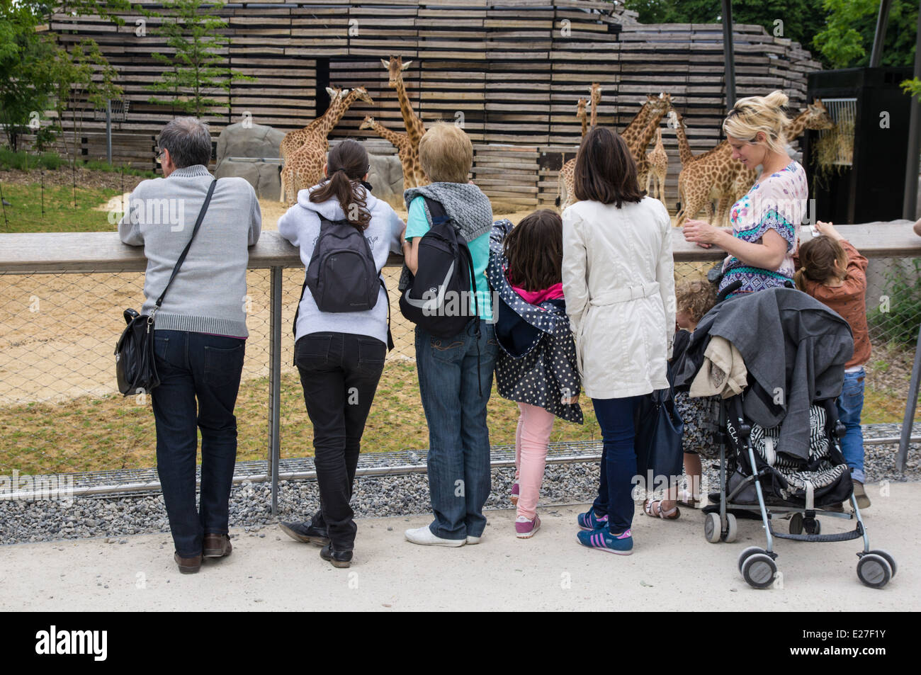 Les visiteurs qui cherchent à les girafes, Zoo Paris France Banque D'Images