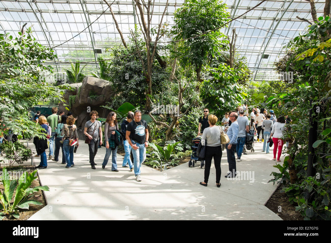 Les visiteurs à l'intérieur de la serre tropicale du Zoo de Paris, France Banque D'Images