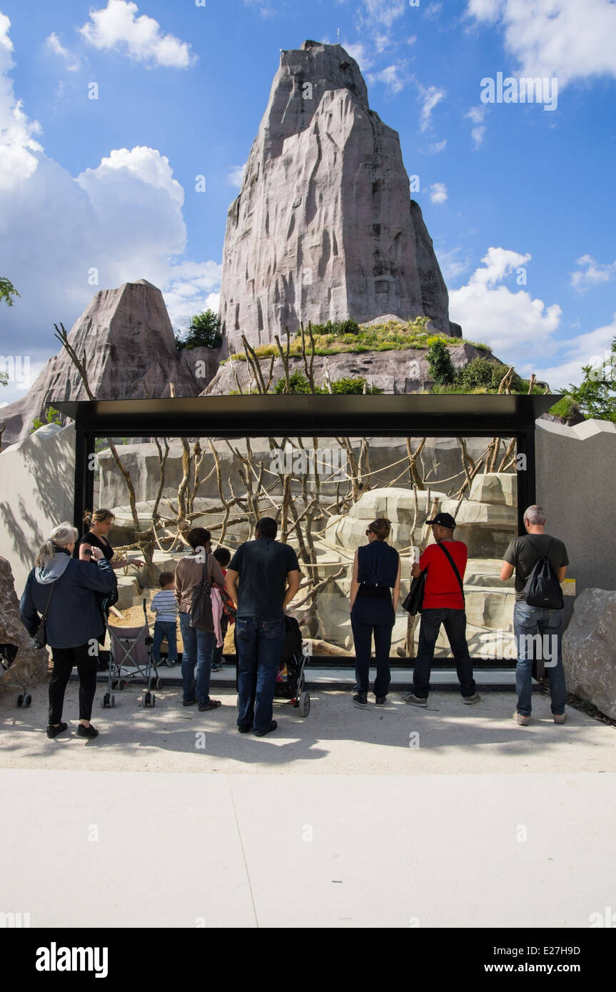 Les visiteurs qui cherchent à les babouins à travers le verre, le Zoo de Paris France Banque D'Images
