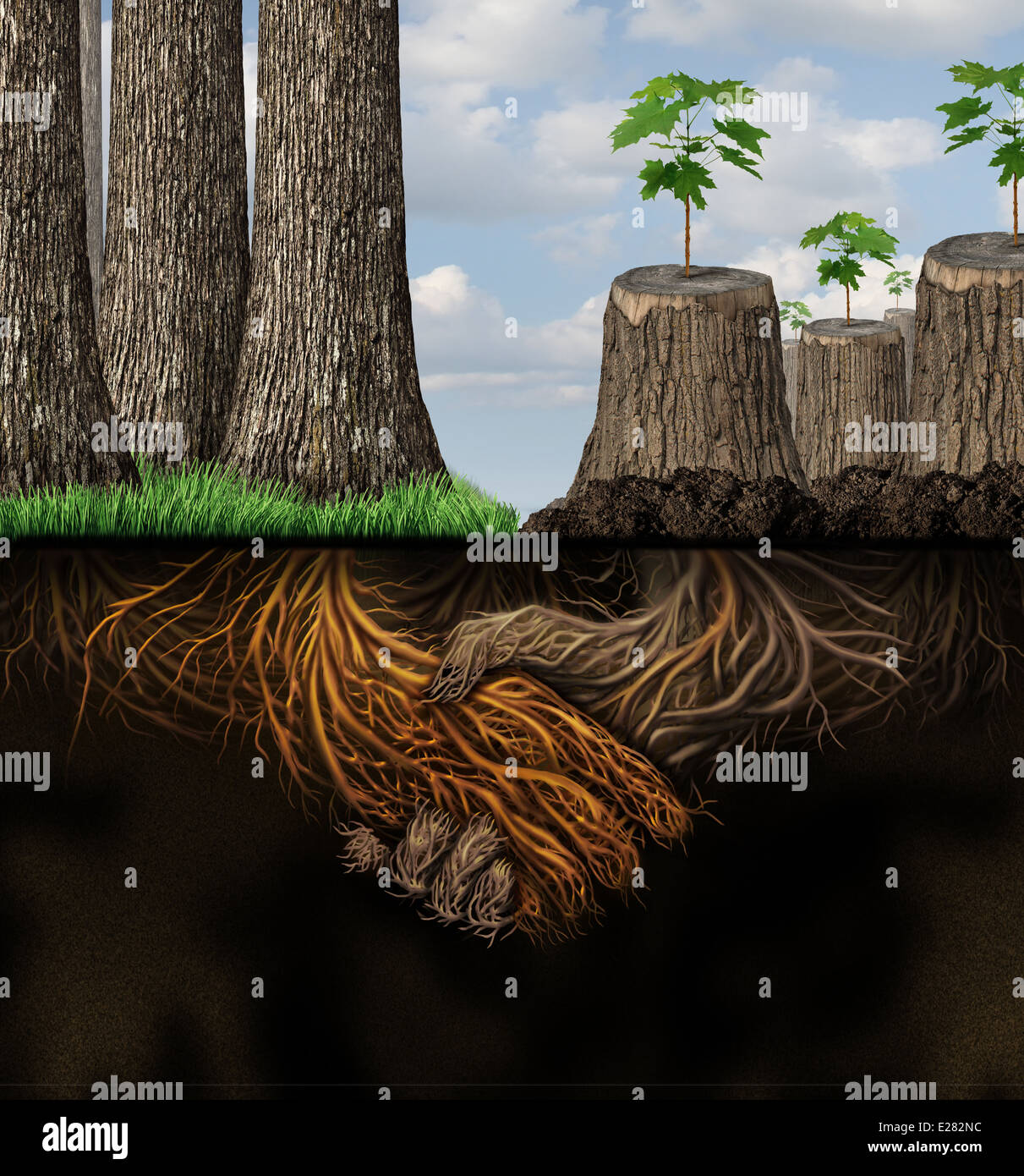L'aide économique et financière business concept comme une forêt d'arbres sains aider un groupe de troncs d'arbres coupés en forme de racines comme avec une poignée de main comme une métaphore d'un nouveau développement. Banque D'Images