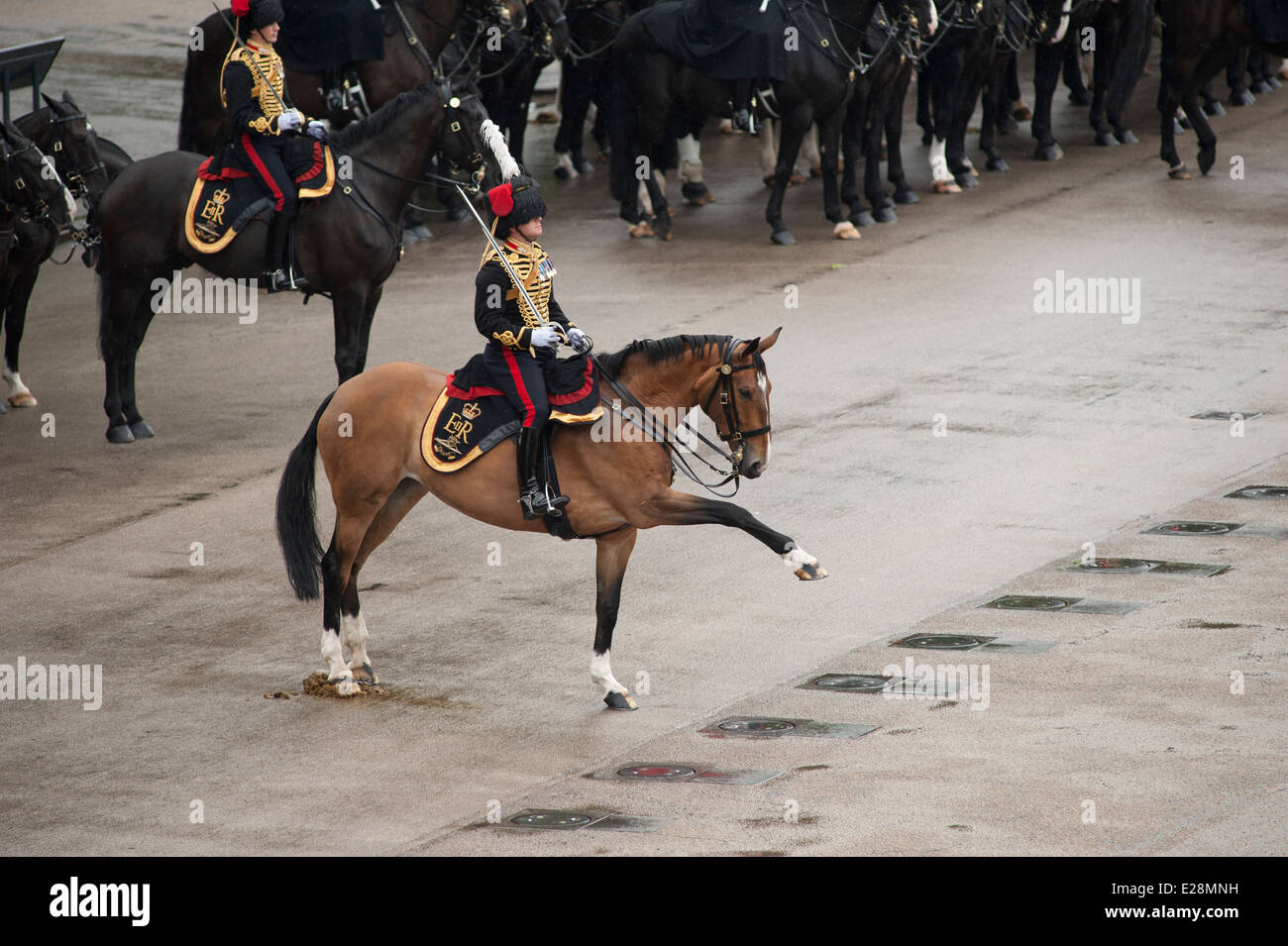 Un cheval de l'agents agité la troupe King Royal Horse Artillery, le Colonel's Review, Parade, défilé sur la couleur Banque D'Images