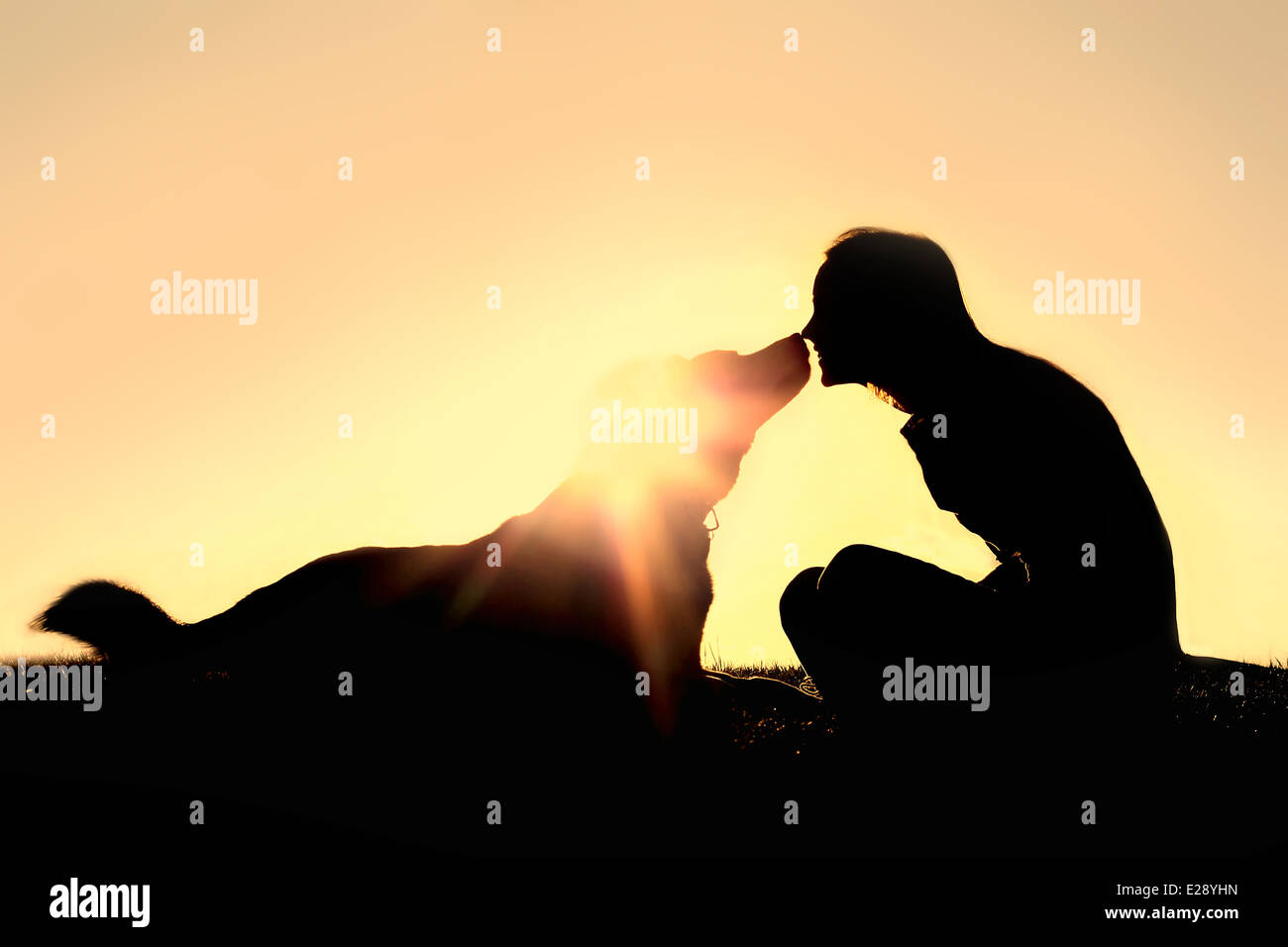 La silhouette d'une jeune femme est assis dehors au coucher du soleil de l'embrasser avec amour grand mélange de berger allemand. Banque D'Images