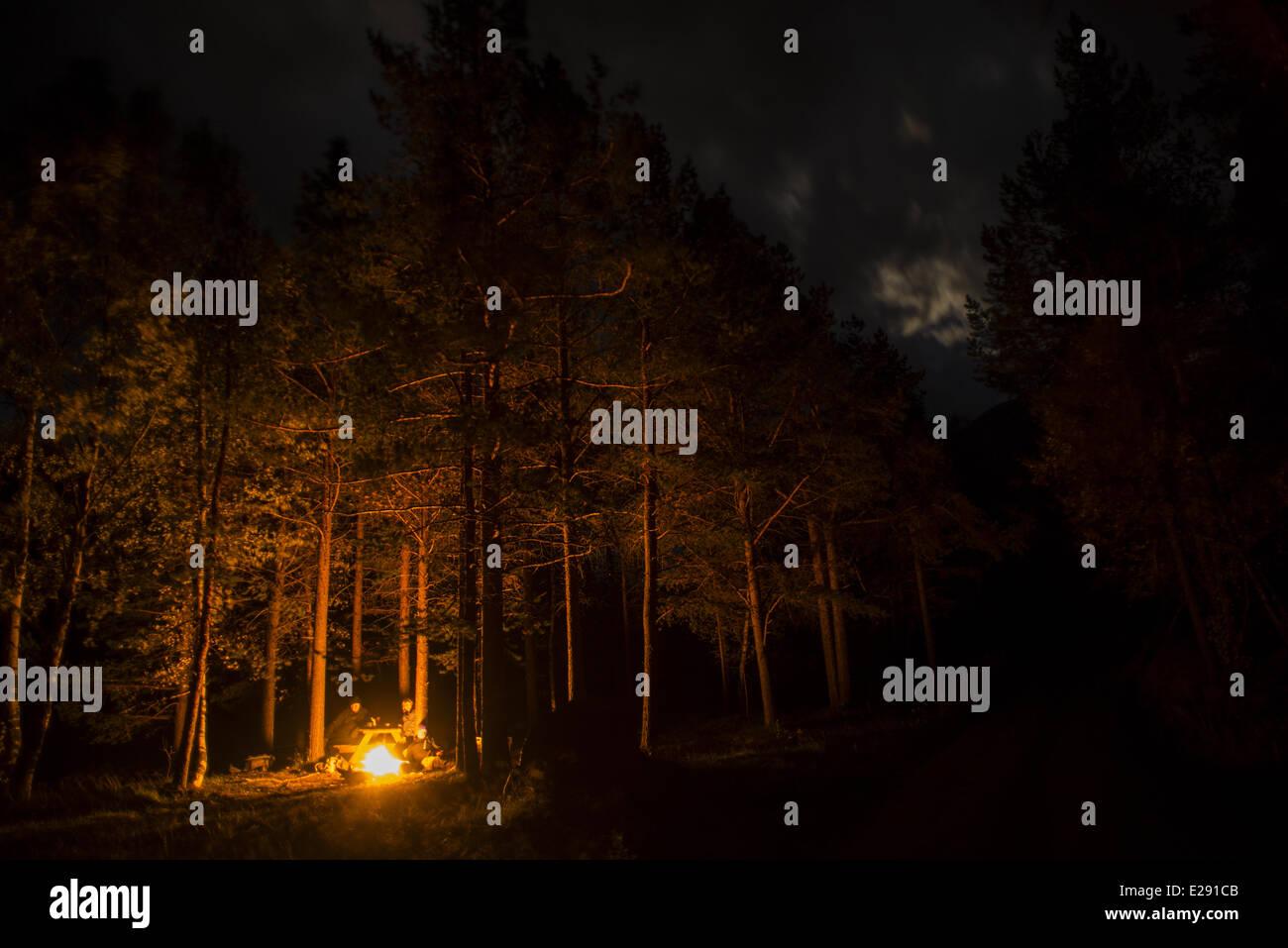 Feu de camp dans la forêt de conifères dans la nuit, Skibotn, Laponie, Norvège du Nord, septembre Banque D'Images