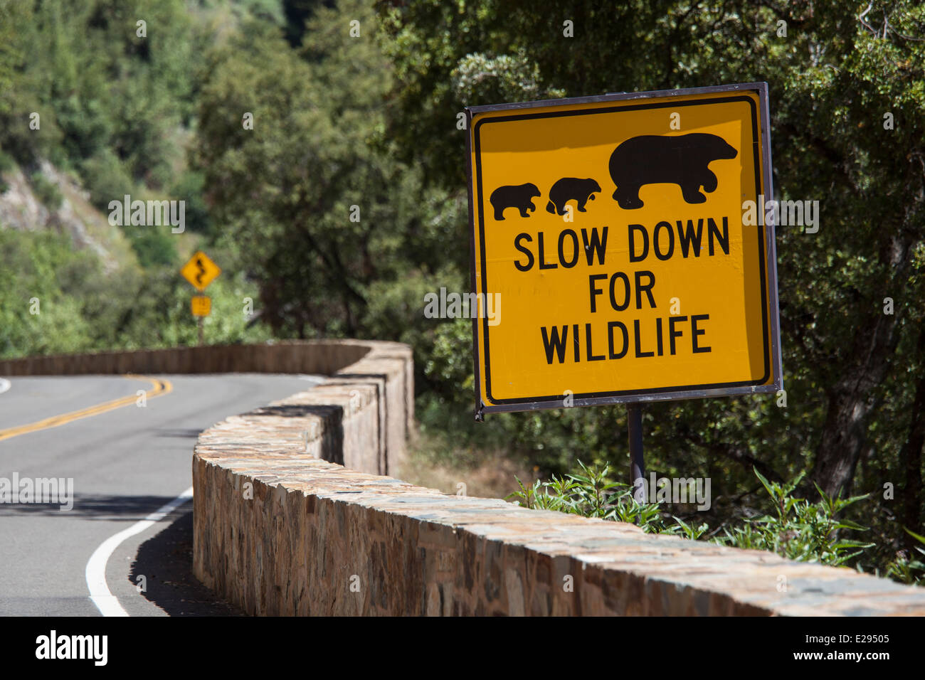 Panneau routier ralentir pour la faune", avertissement Sequoia National Park, Californie, USA Banque D'Images