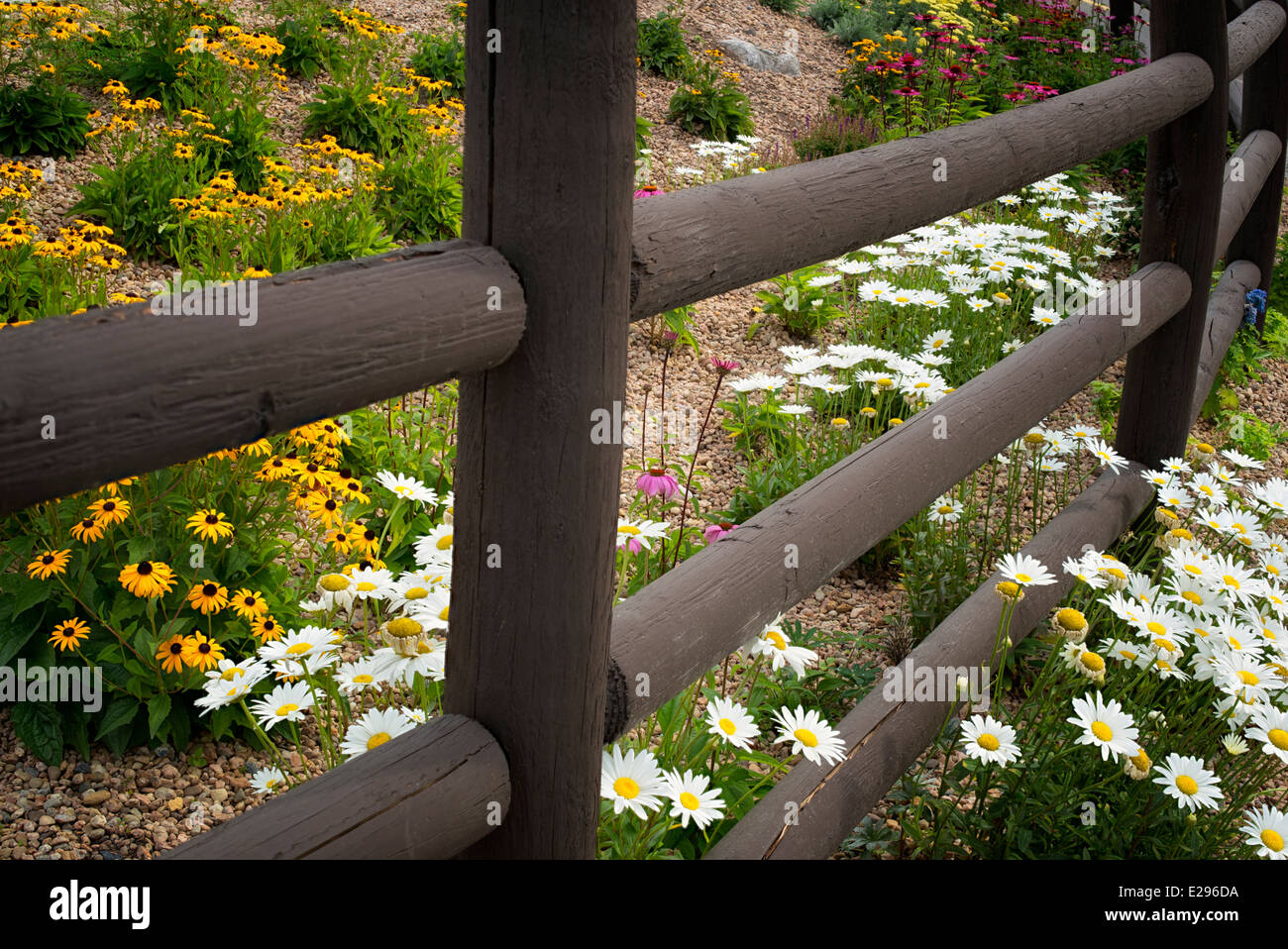 Clôture et des fleurs de jardin. Vail Village, Colorado Banque D'Images
