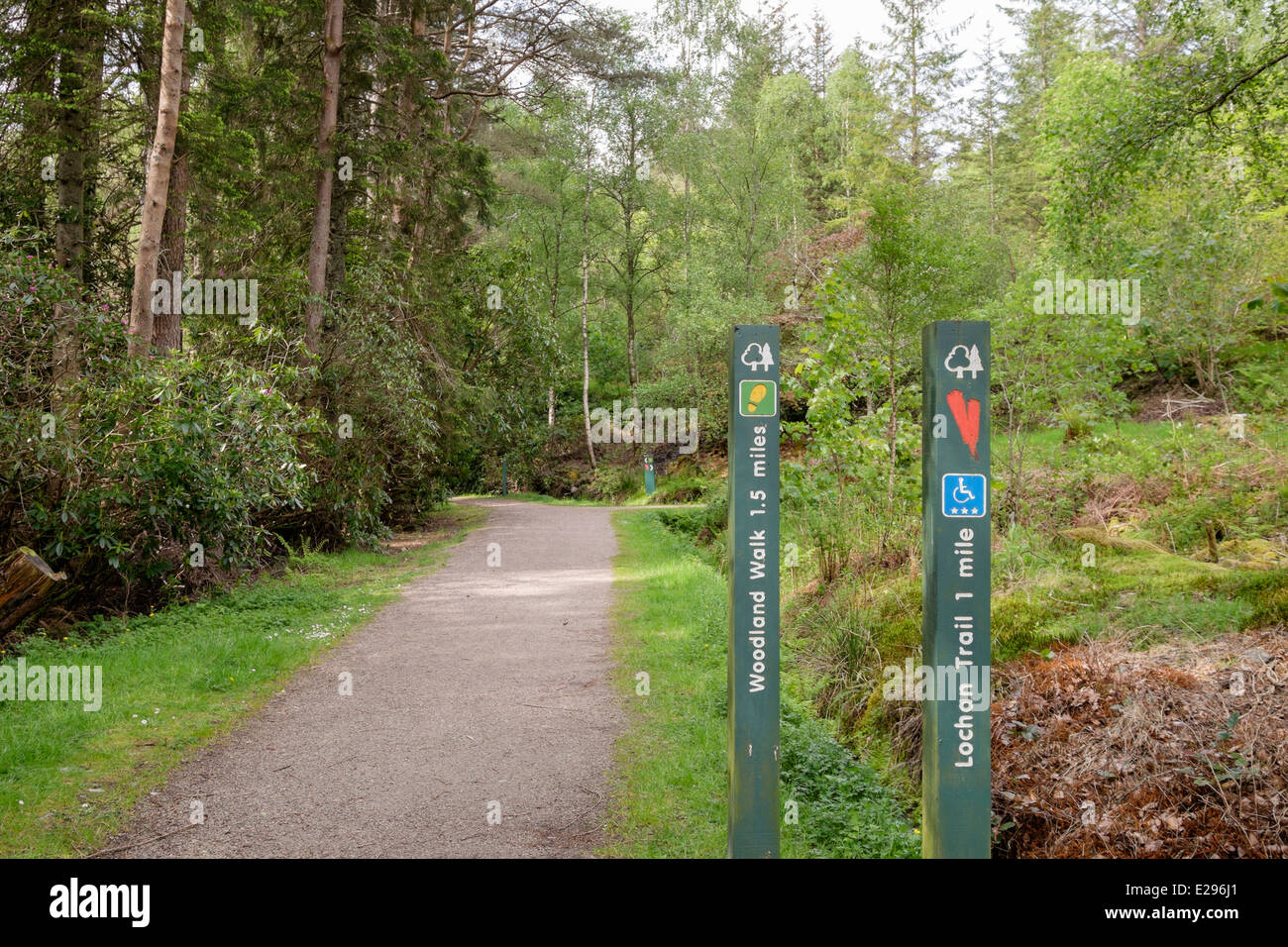 Signe de chemin Trail à Glencoe Lochan à travers bois Commission forestière adaptée aux fauteuils roulants. Glencoe, Highland, Scotland Banque D'Images