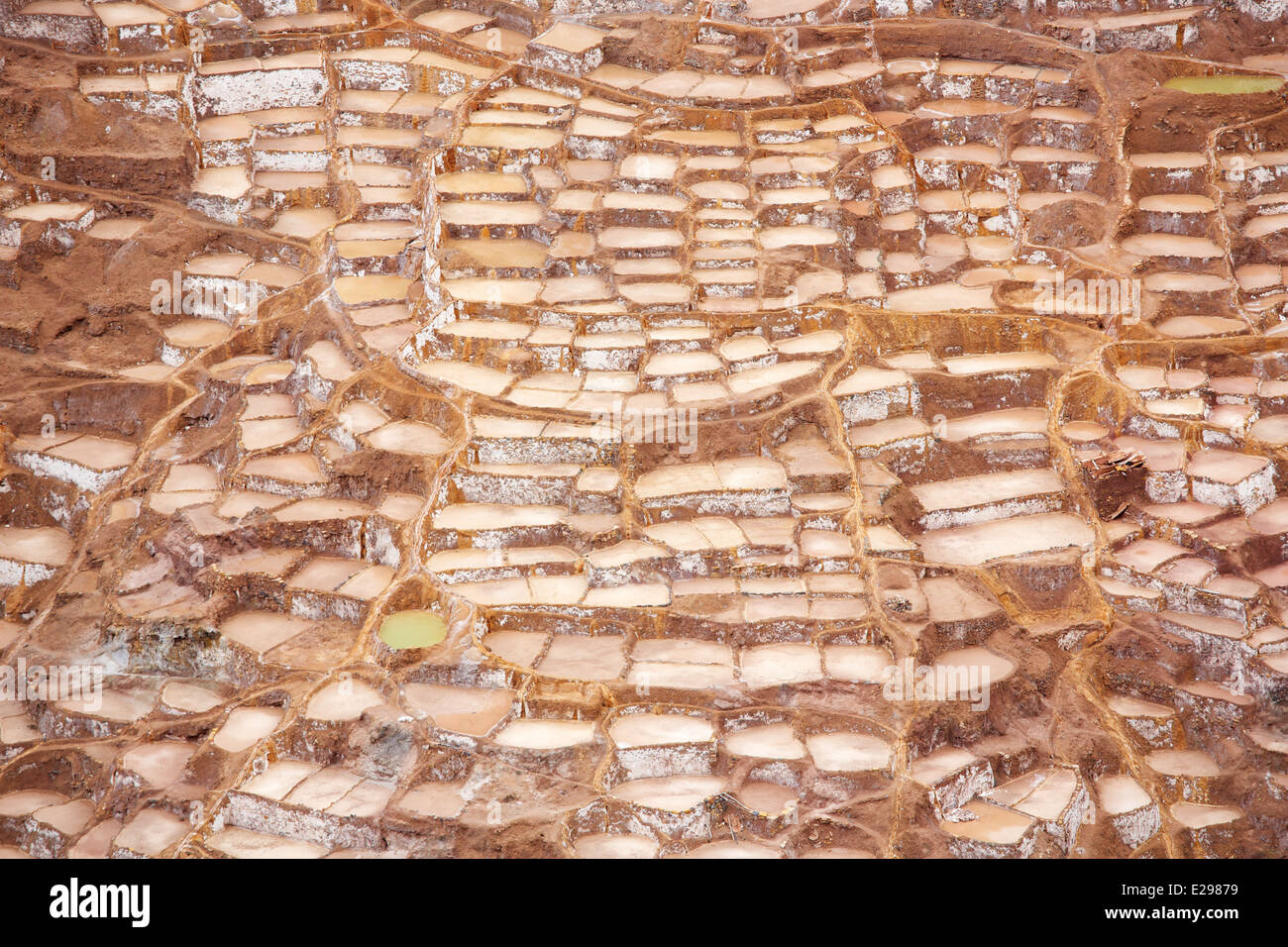 Mines de sel de la vallée sacrée du Pérou, Amérique du Sud Banque D'Images
