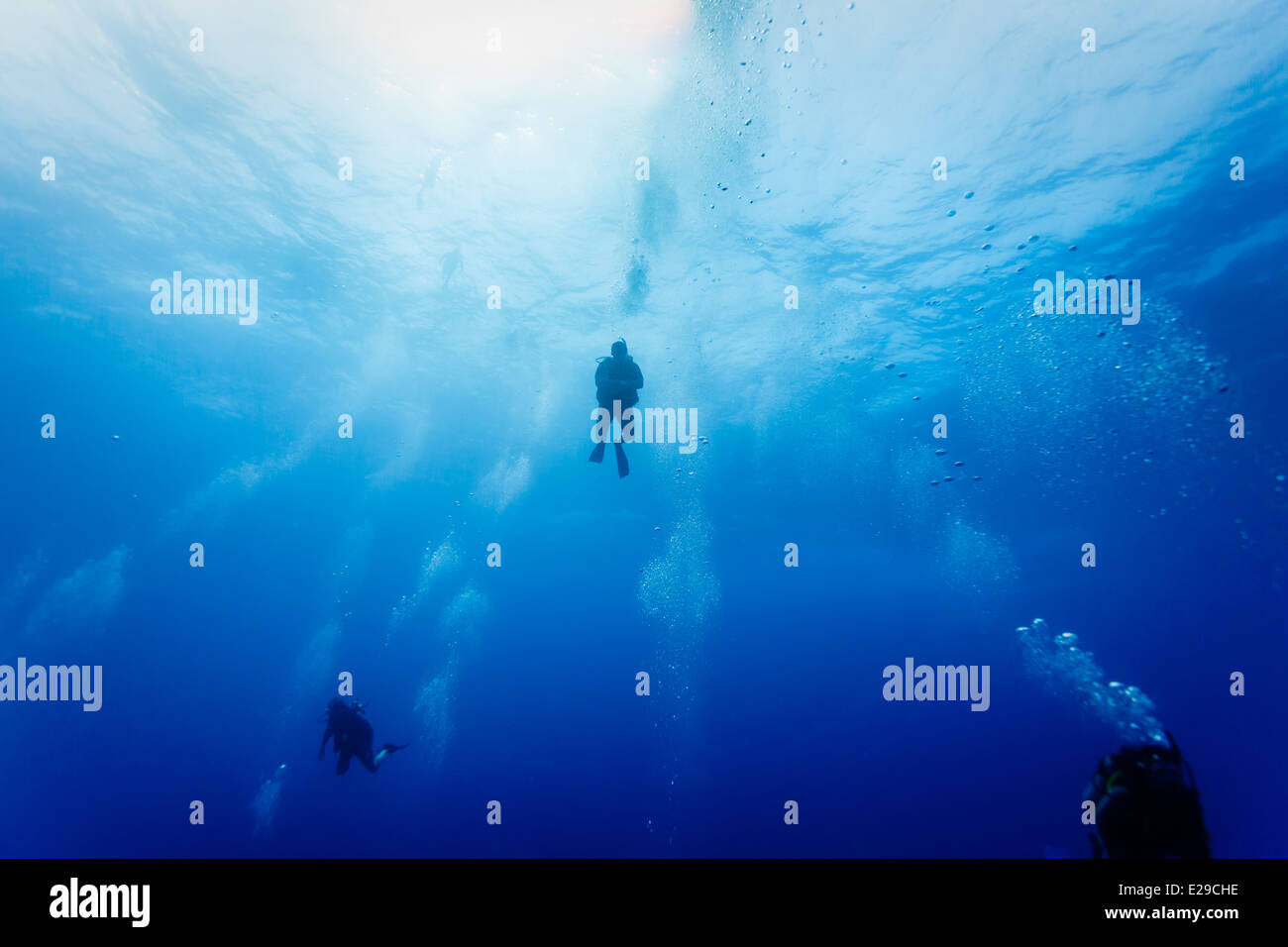 Plongeurs sous-marins en pleine mer laissant des sentiers de bulles Banque D'Images