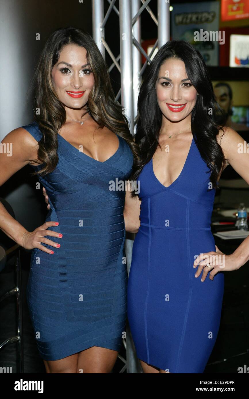 Las Vegas, NV, USA. 17 Juin, 2014. Nikki Bella, Brie Bella, Bella Twins présente à Las Vegas Licensing Expo 2014 - MAR, Mandalay Bay Resort and Casino, Las Vegas, NV le 17 juin 2014. Credit : James Atoa/Everett Collection/Alamy Live News Banque D'Images