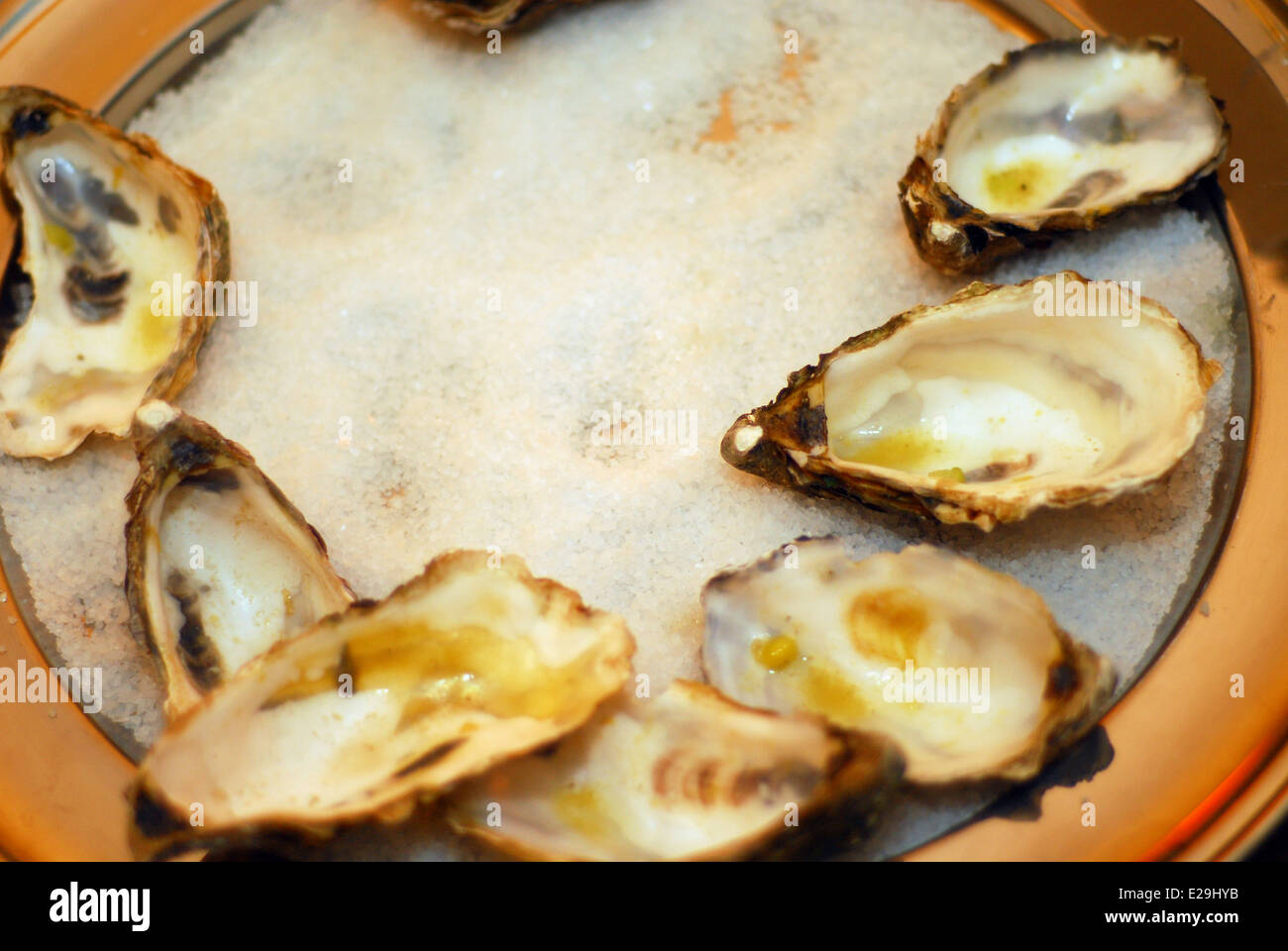Les huîtres sur une plaque avec du sel pour remplir les coquilles' stabilité lors de l'été Banque D'Images