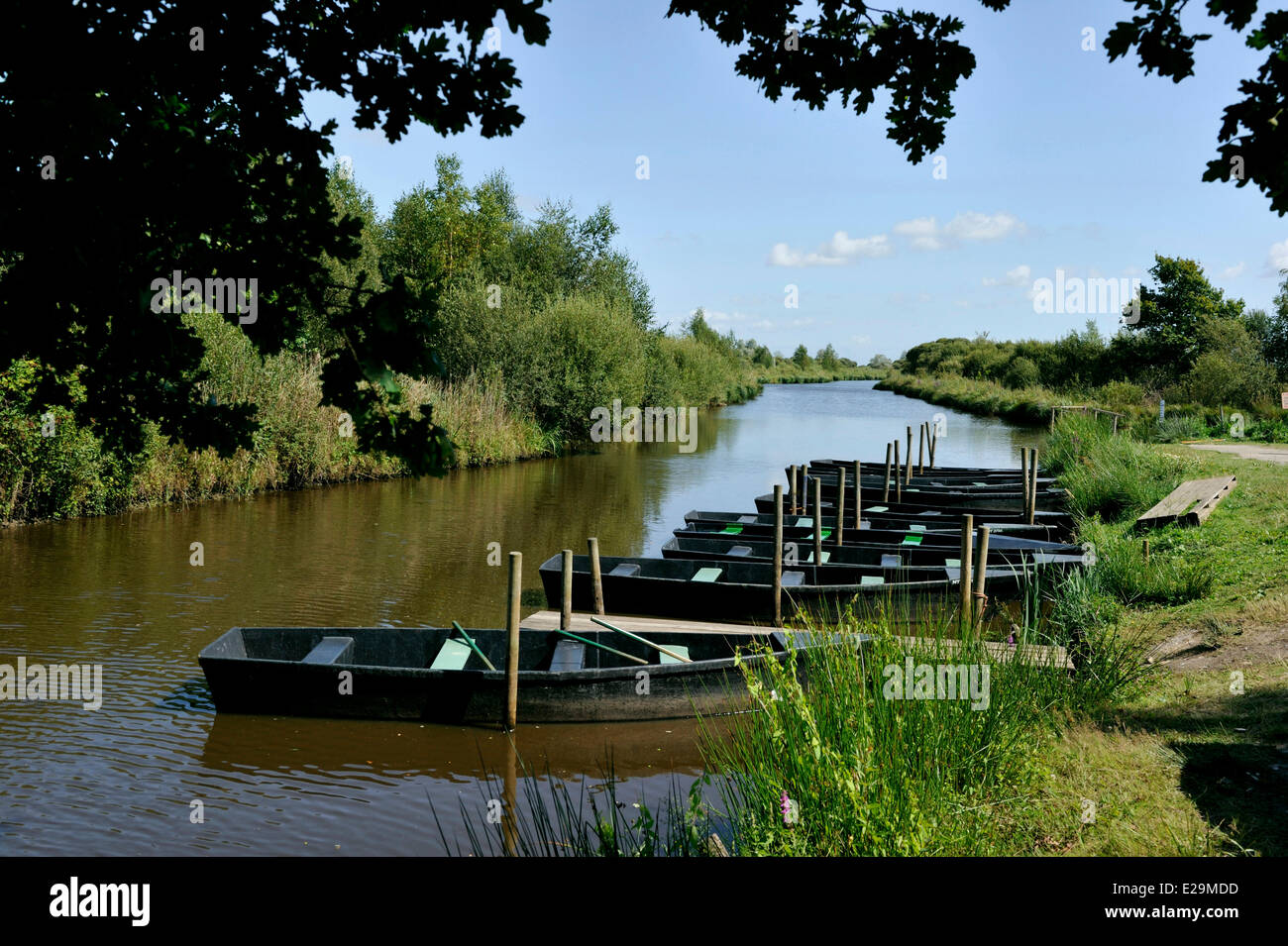 France, Loire Atlantique, Parc Naturel Régional de la Brière (Parc ...