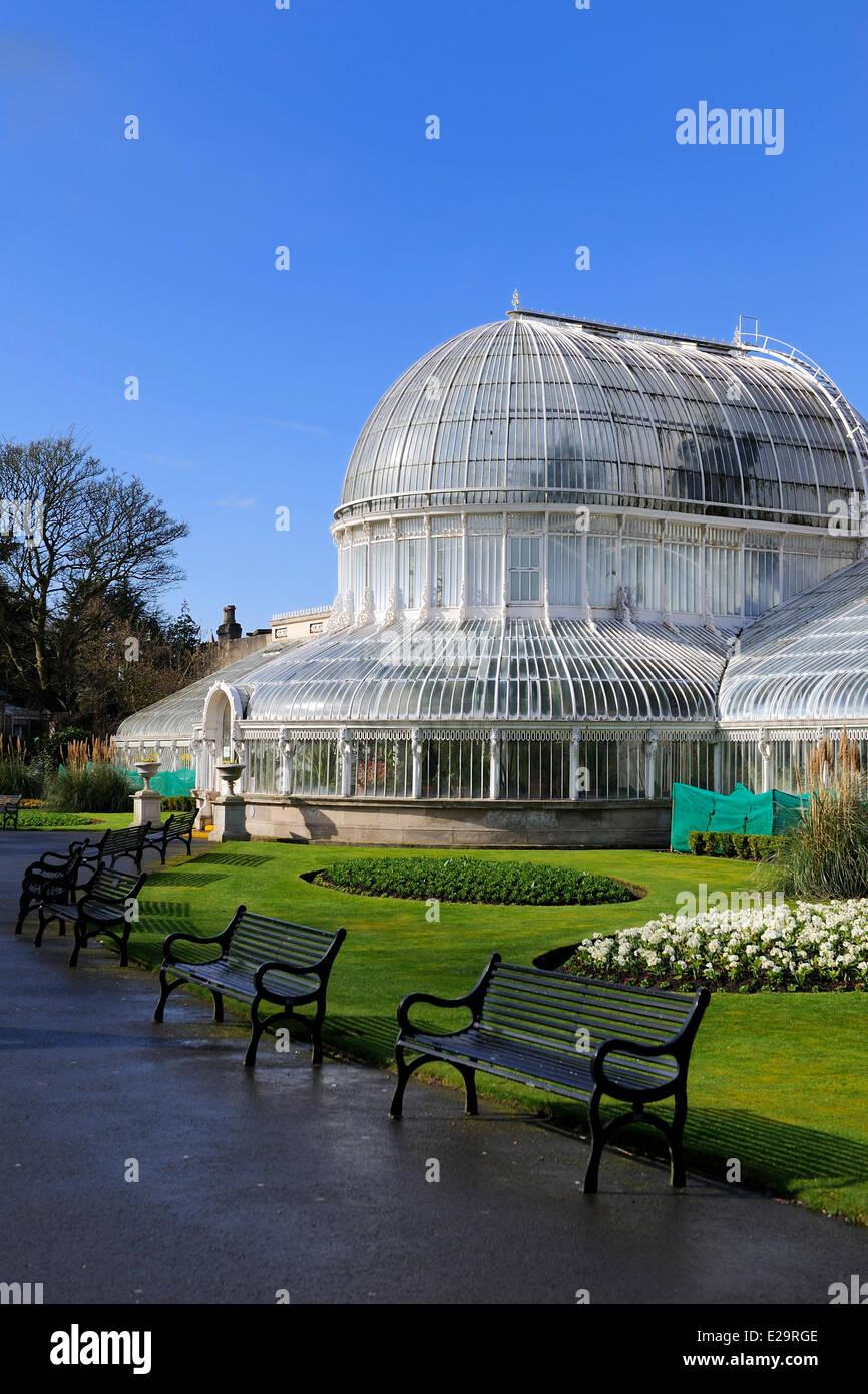 Royaume-uni, Irlande du Nord, Belfast, le Palm House au Botanic Gardens Banque D'Images