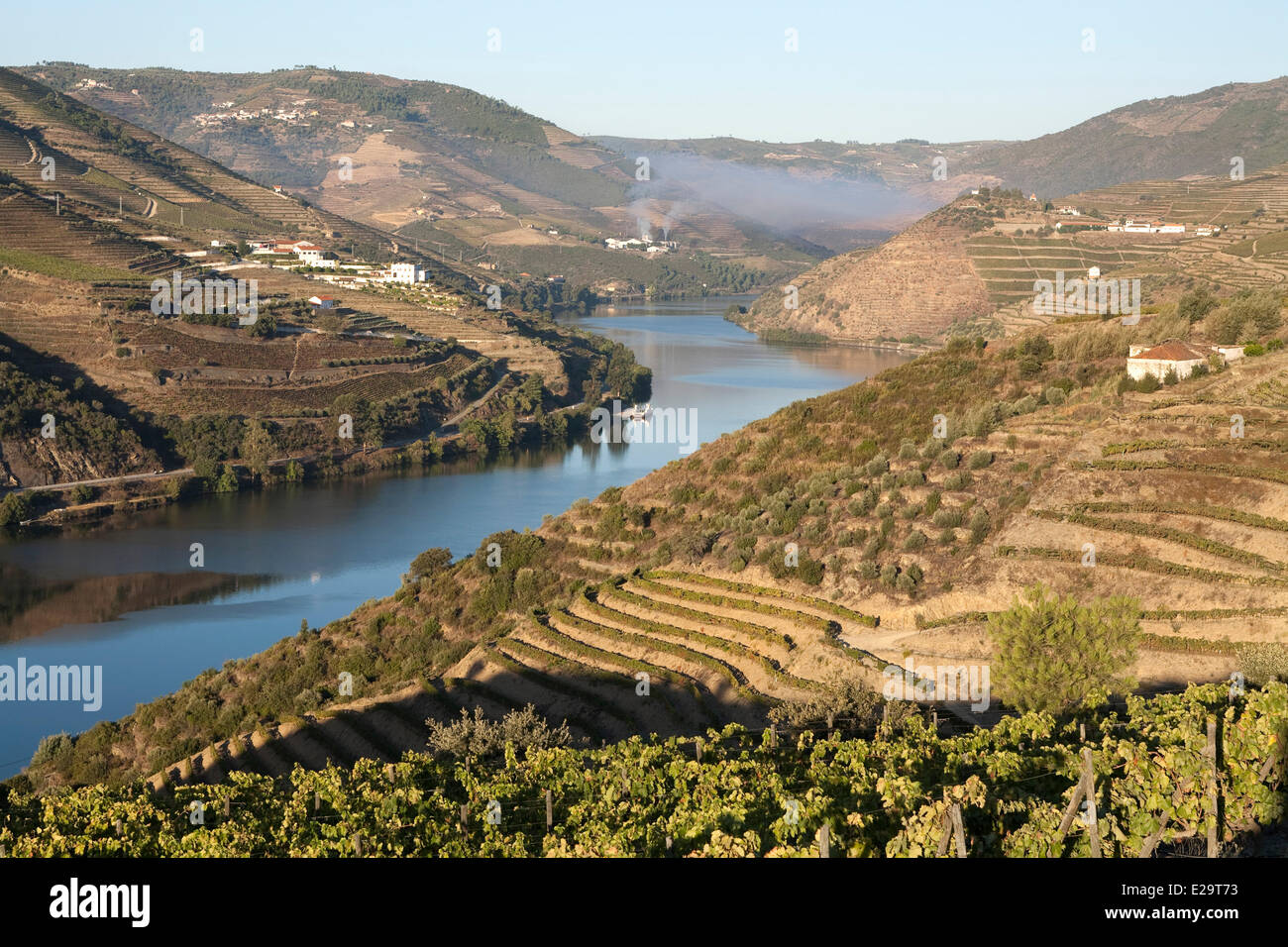 Portugal, région du nord, district de Vila Real, vallée du Douro, Covas do Douro, propriété viticole, classé au Patrimoine Mondial de Banque D'Images