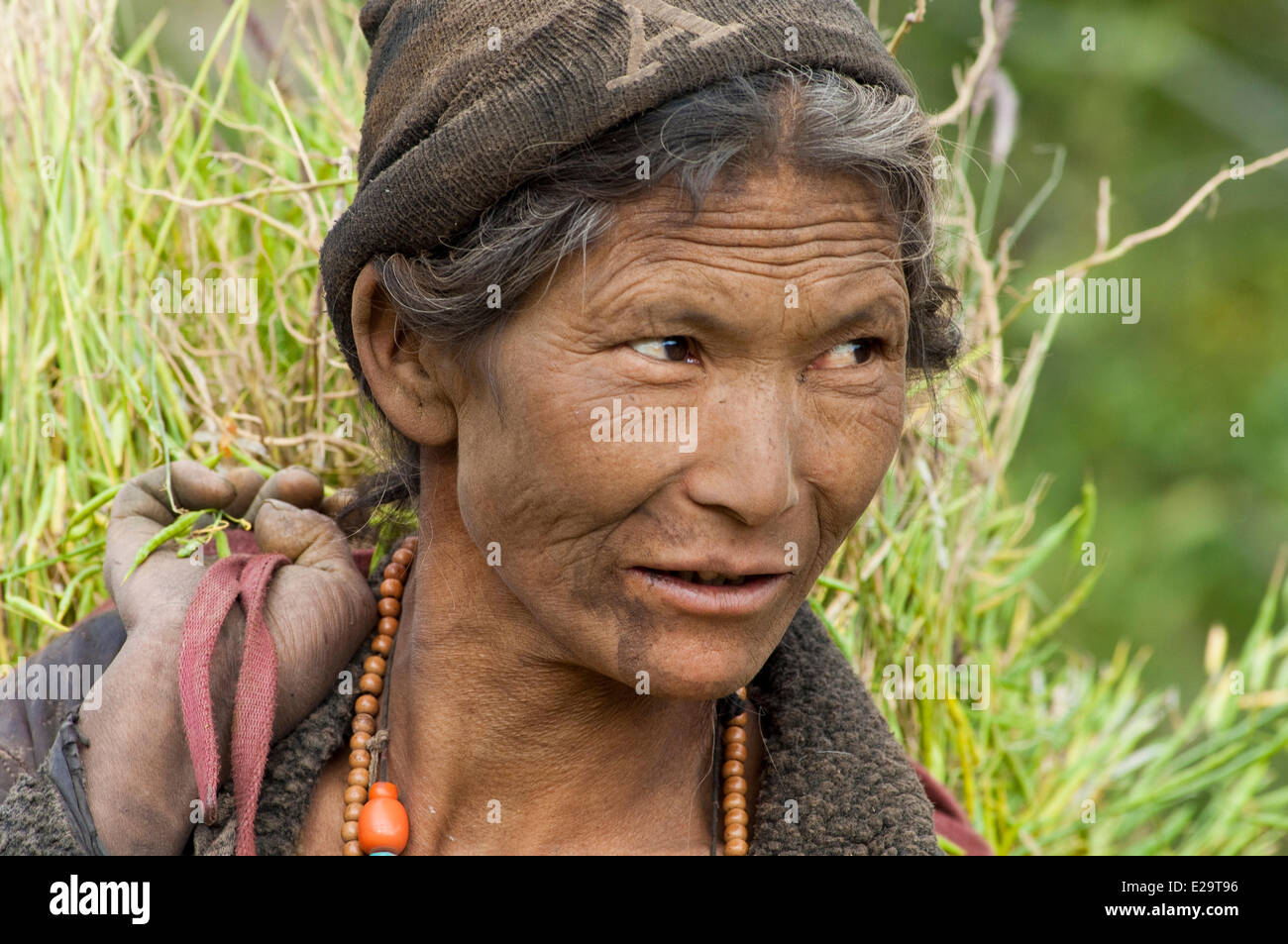 Au Népal, la zone de Karnali, région du Dolpo, Ringmo, Phoksumdo lake, paysan Banque D'Images